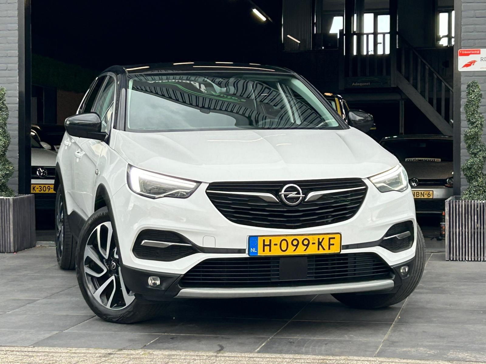 Foto van Opel Grandland X