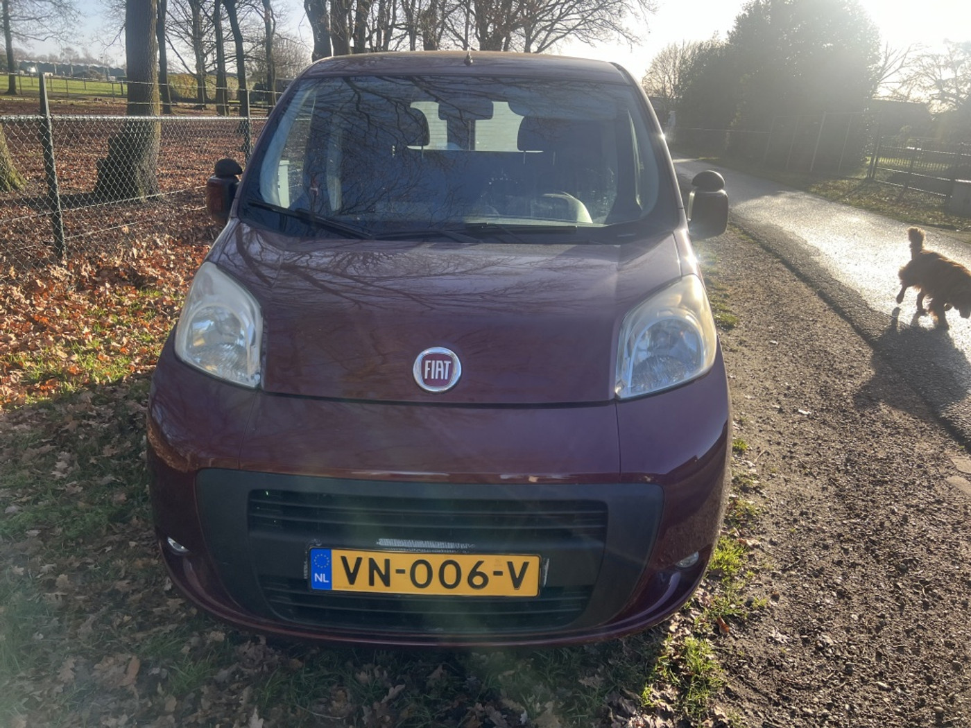 Foto van Fiat Qubo
