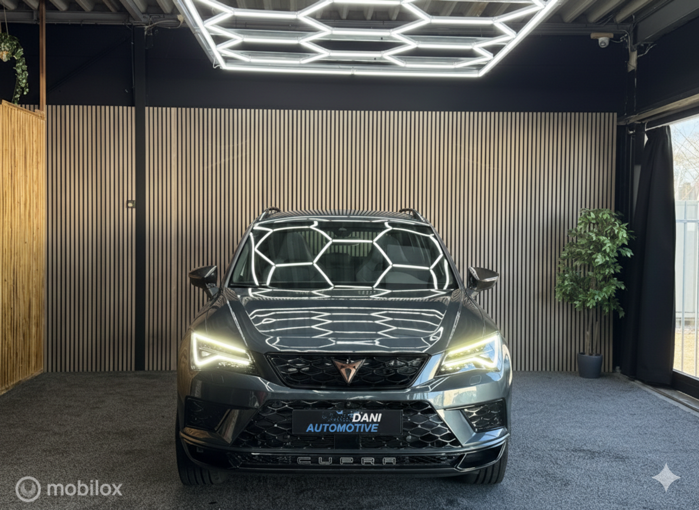 Foto van Cupra Ateca
