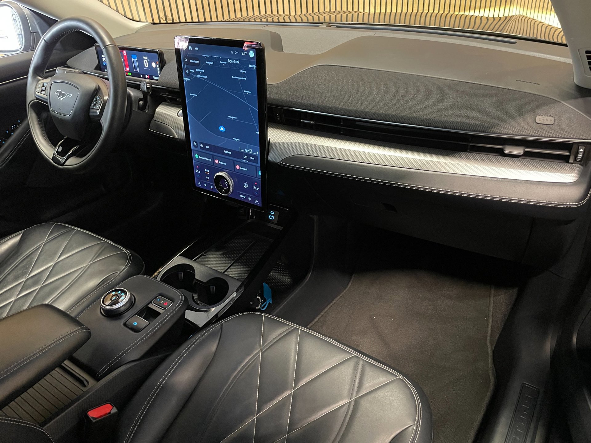 Foto van Ford Mustang Mach-e
