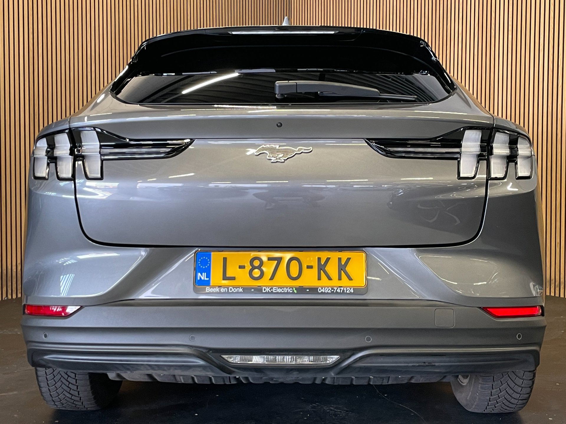 Foto van Ford Mustang Mach-e