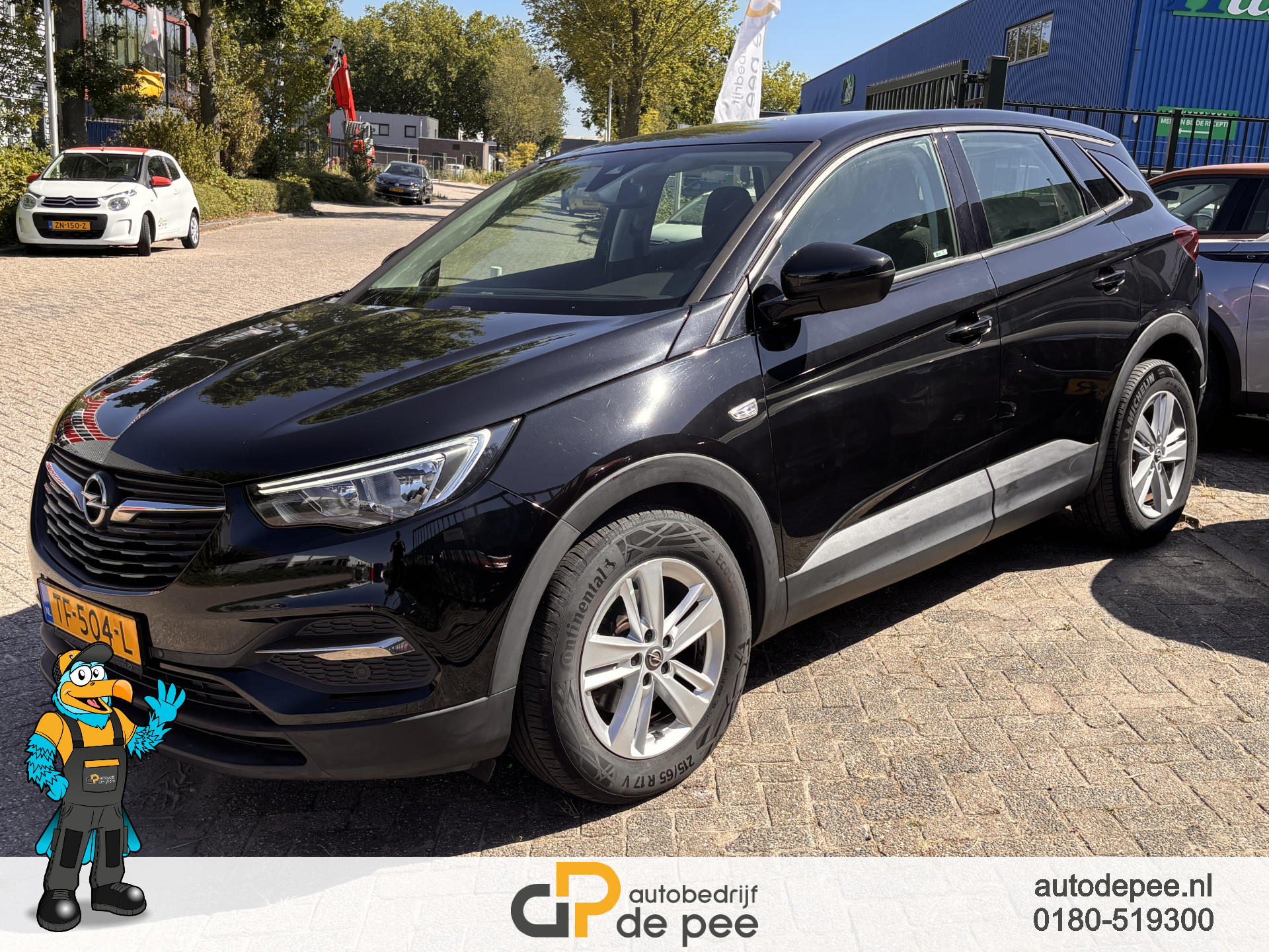 Foto van Opel Grandland X