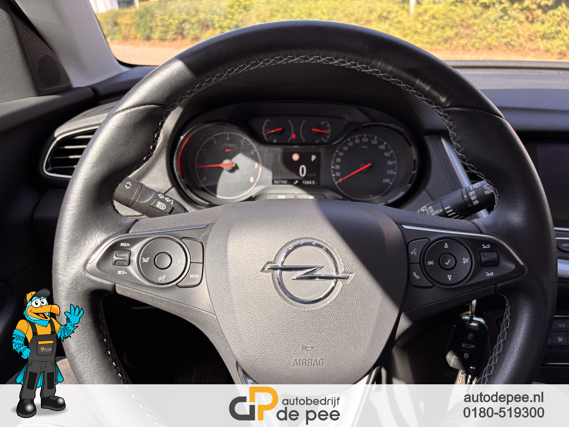 Foto van Opel Grandland X