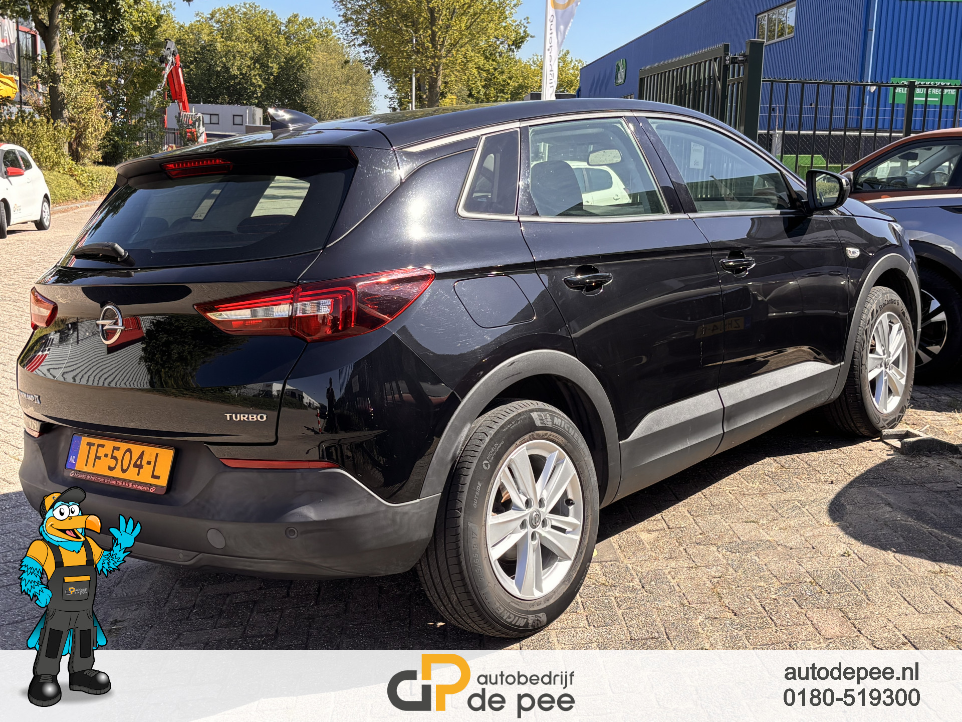 Foto van Opel Grandland X