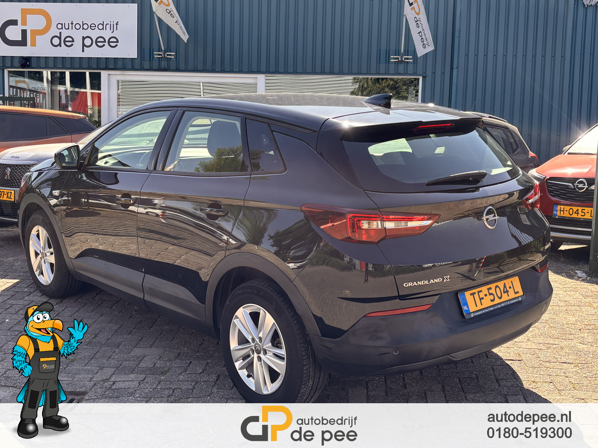 Foto van Opel Grandland X