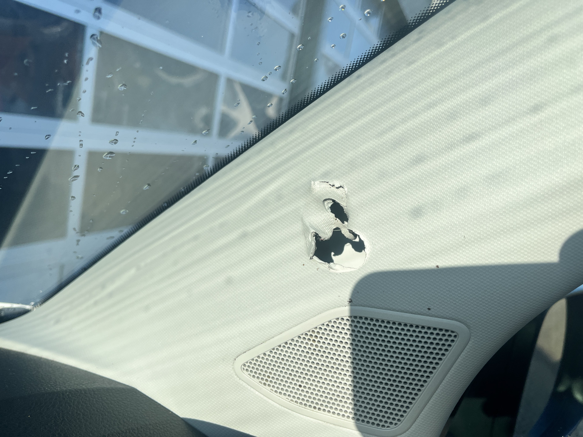 Foto van Volkswagen Kombi