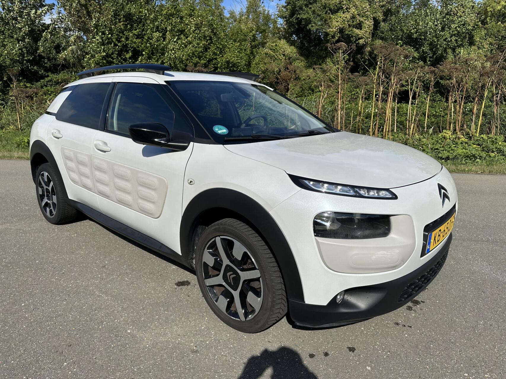 Foto van Citroen C4 Cactus