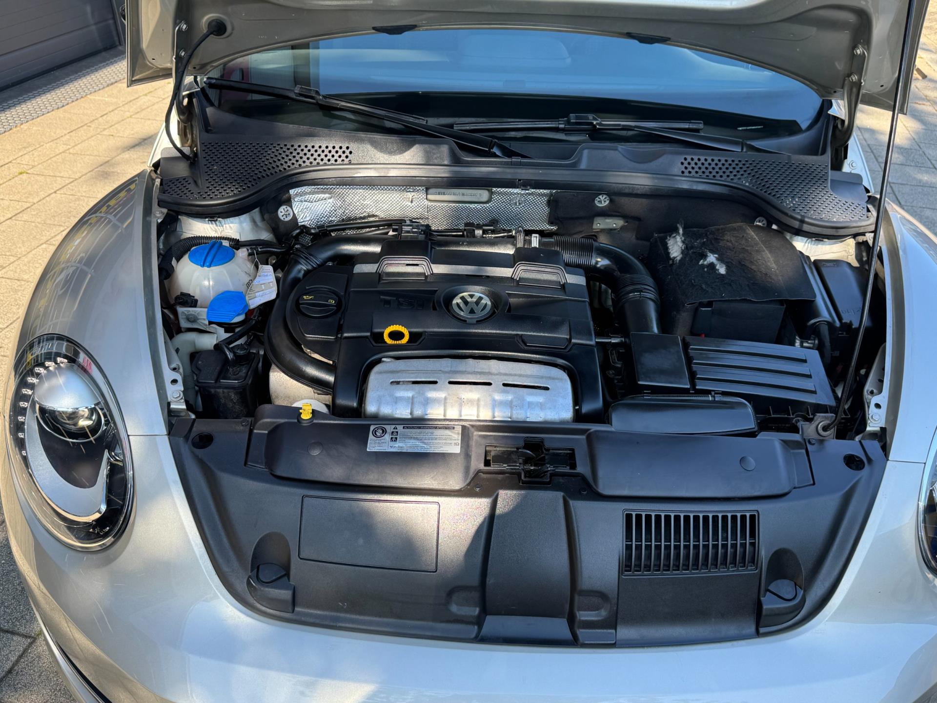 Foto van Volkswagen Beetle