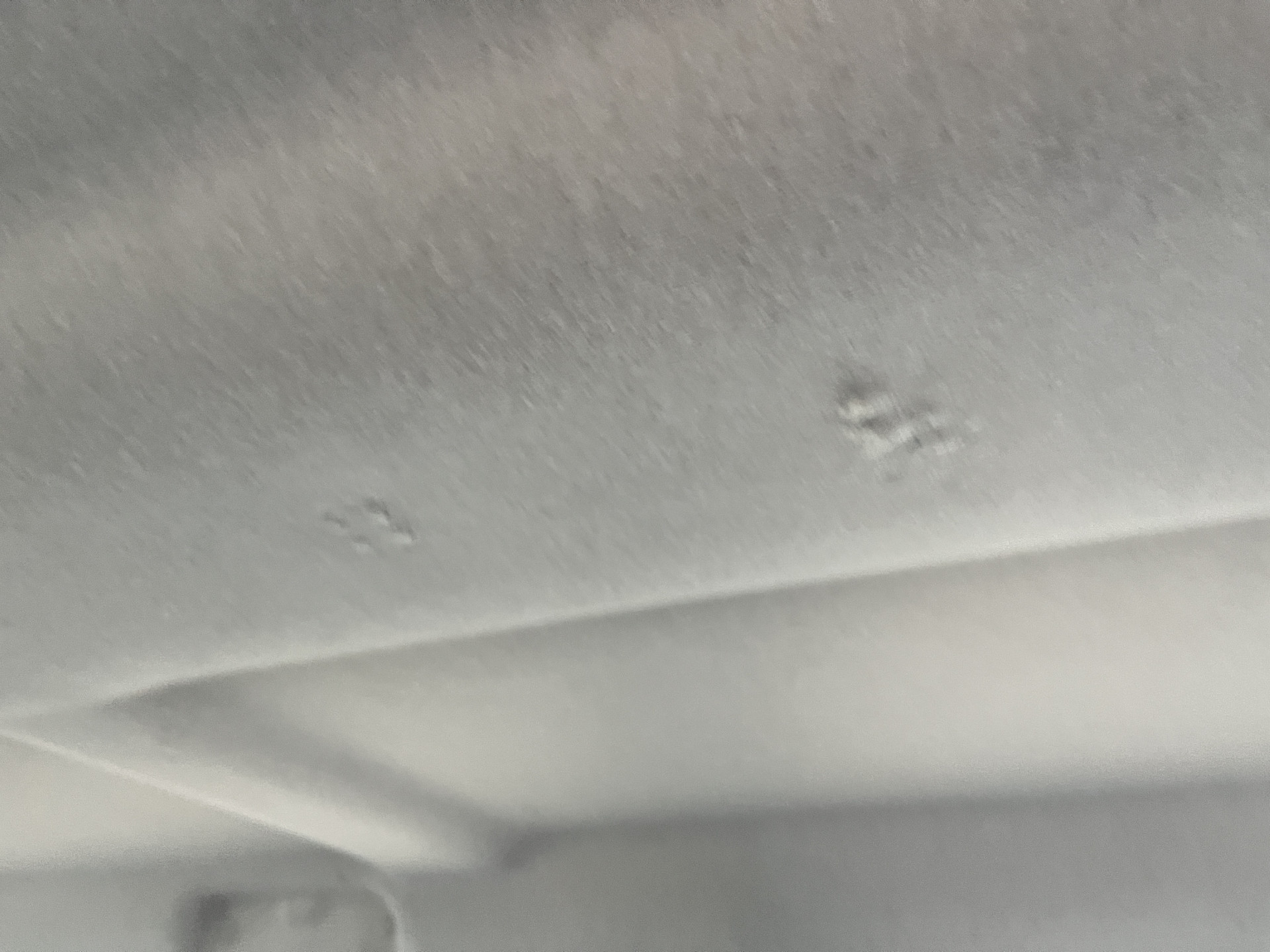 Foto van Citroen Jumpy Spacetourer