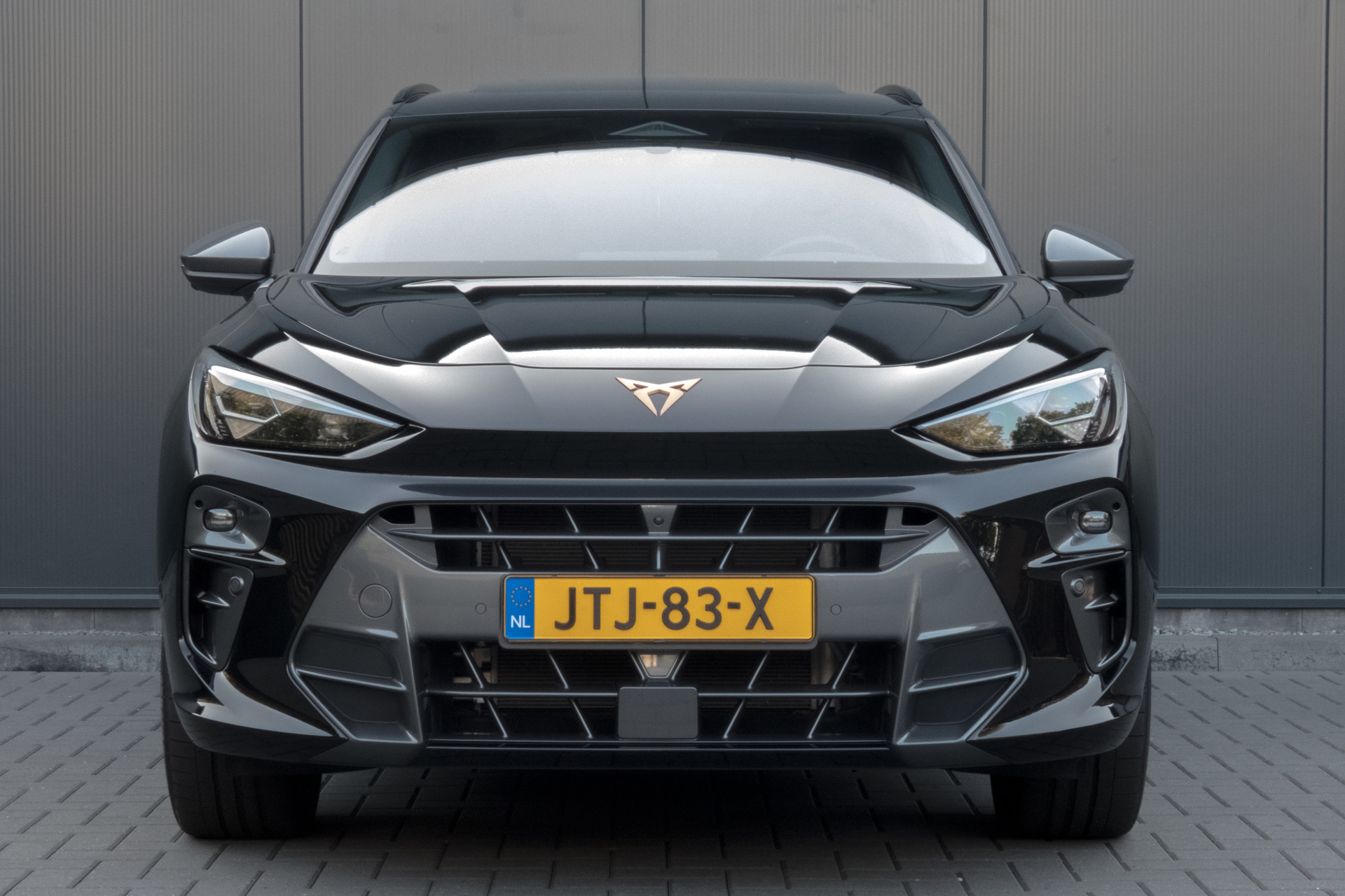 Foto van Cupra Terramar E-hybrid