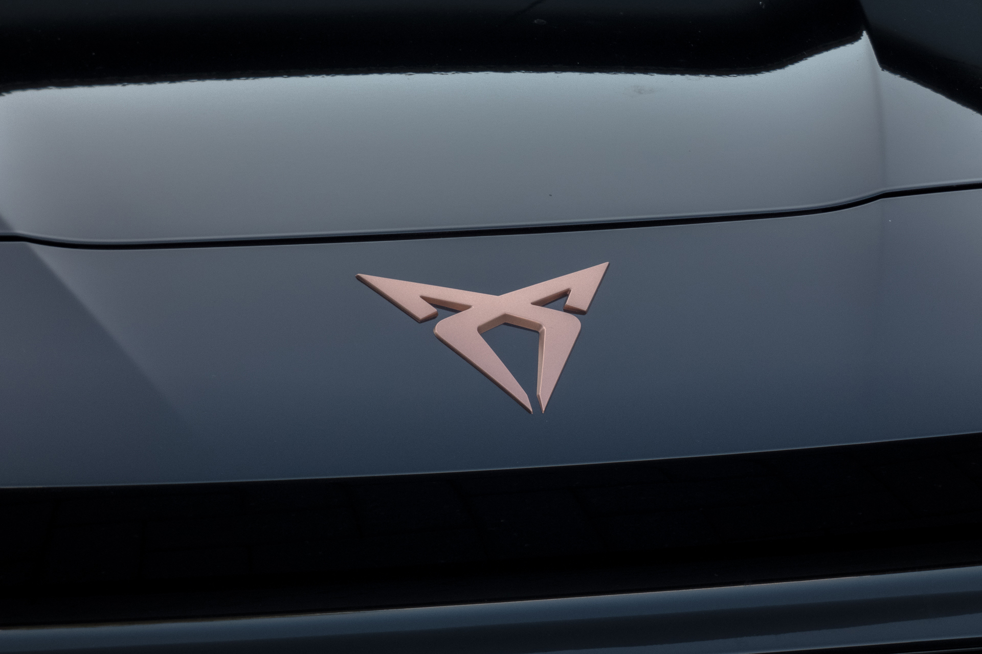 Foto van Cupra Terramar E-hybrid