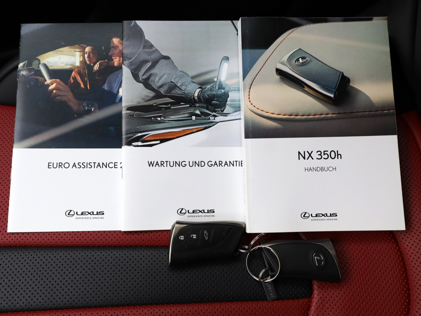 Foto van Lexus NX