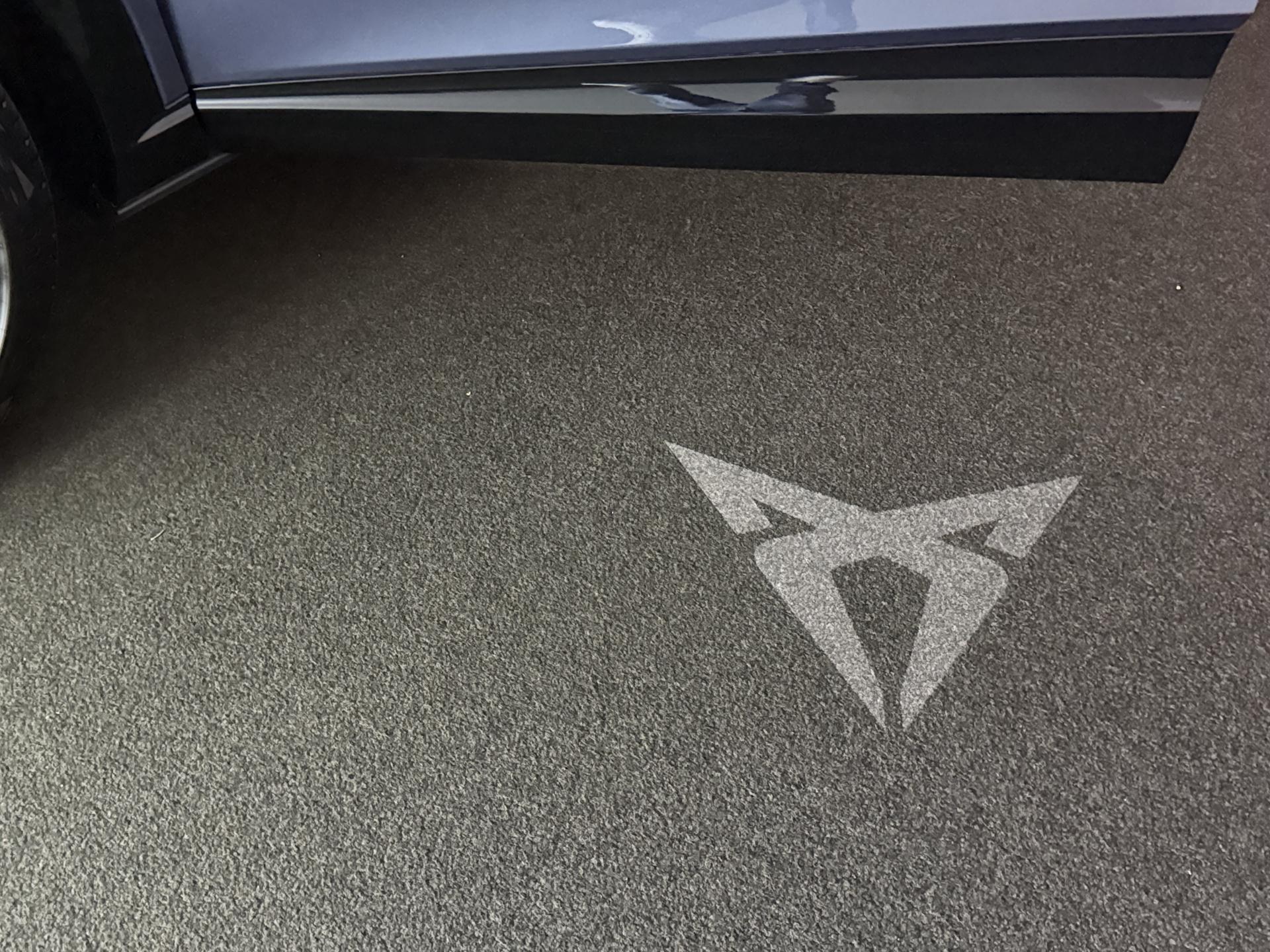 Foto van Cupra Tavascan