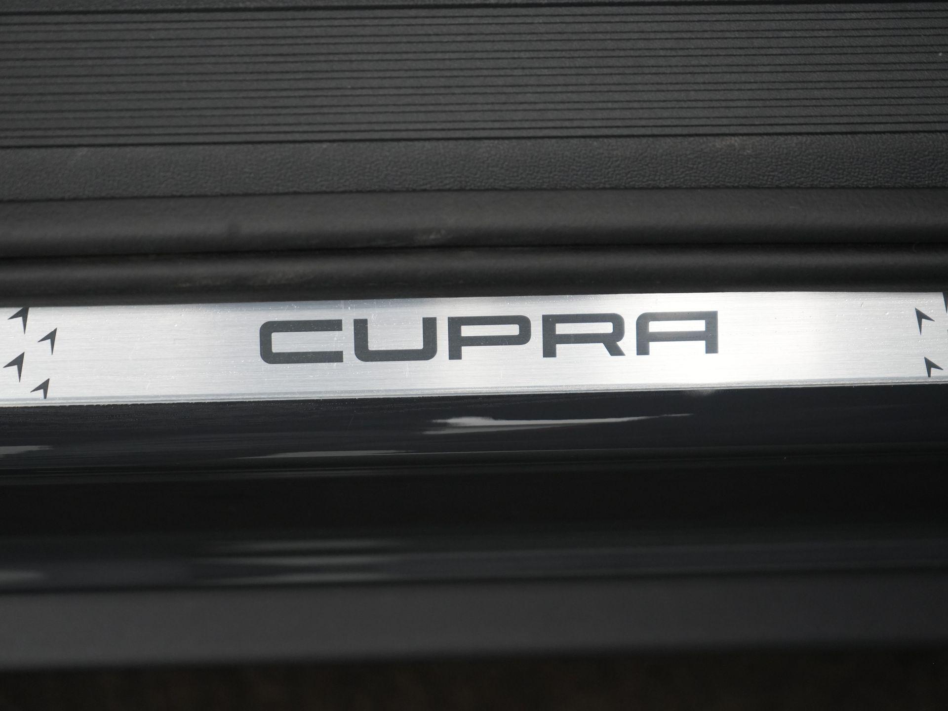 Foto van Cupra Tavascan