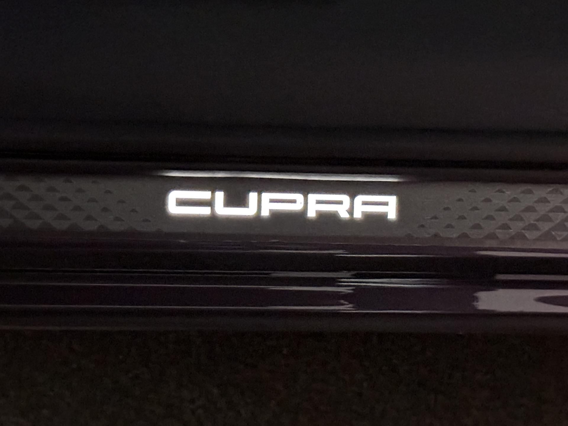 Foto van Cupra Terramar E-hybrid