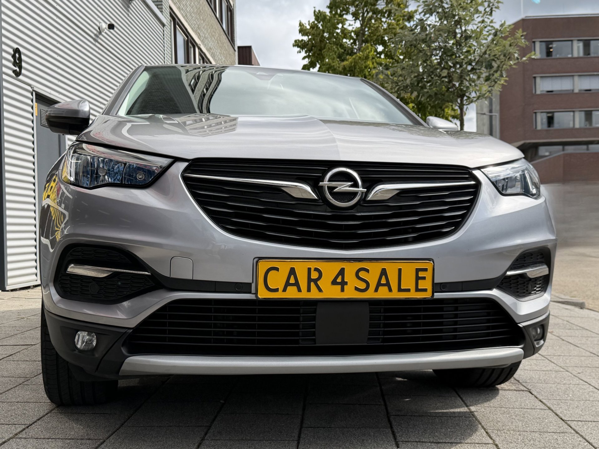 Foto van Opel Grandland X