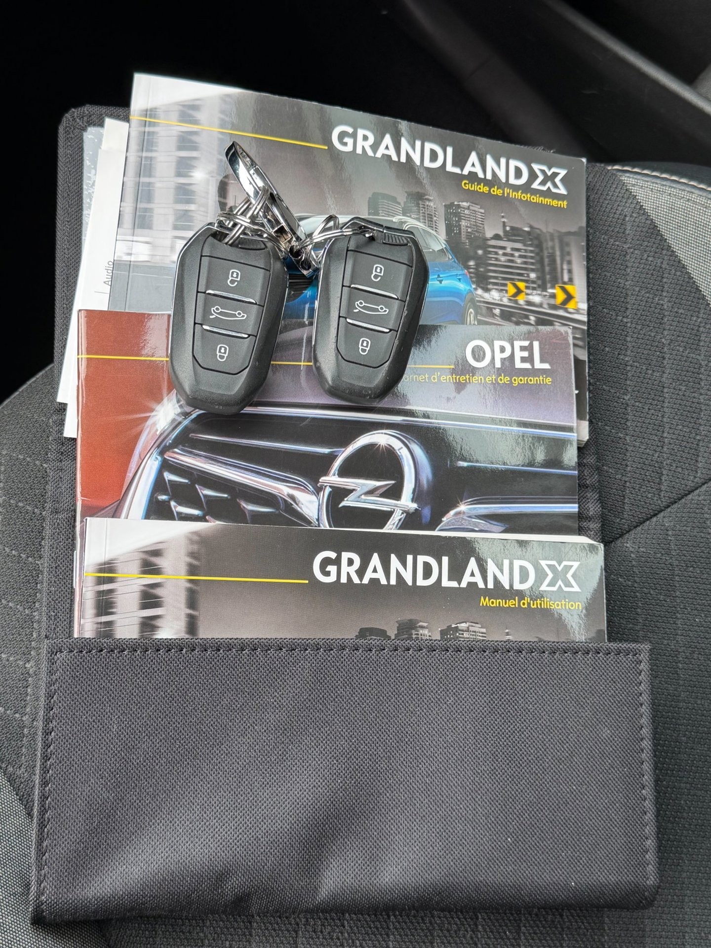 Foto van Opel Grandland X
