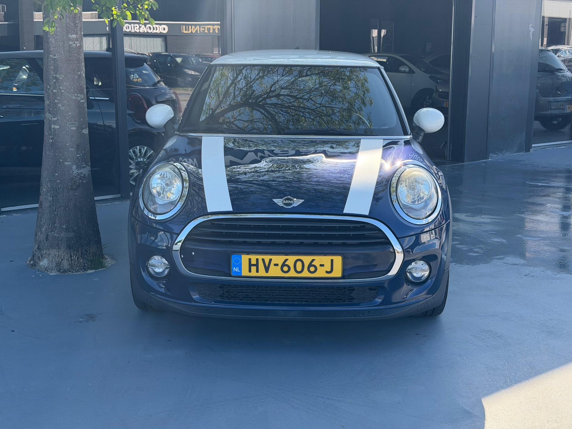 Foto van Mini Mini