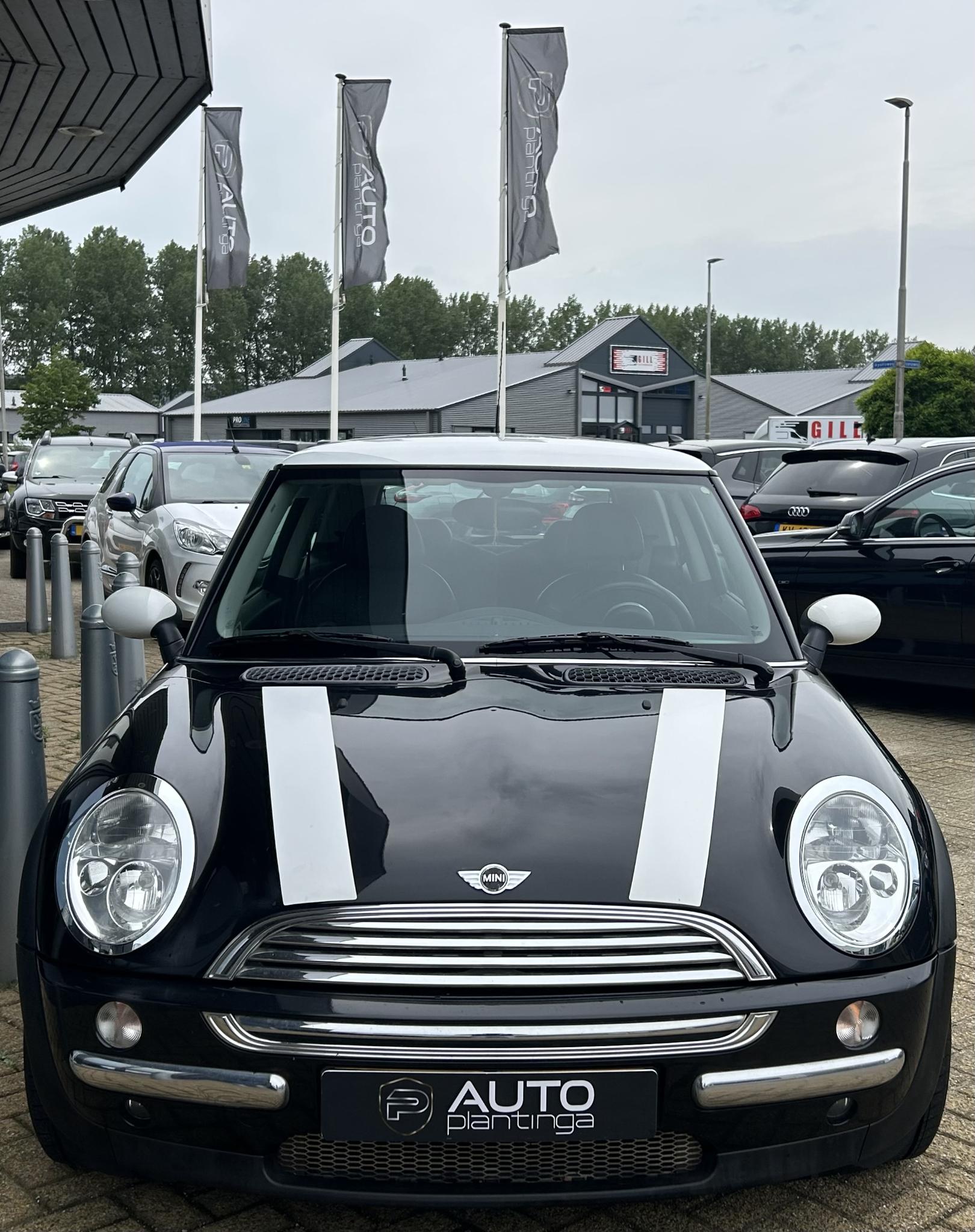 Foto van Mini Mini Cooper
