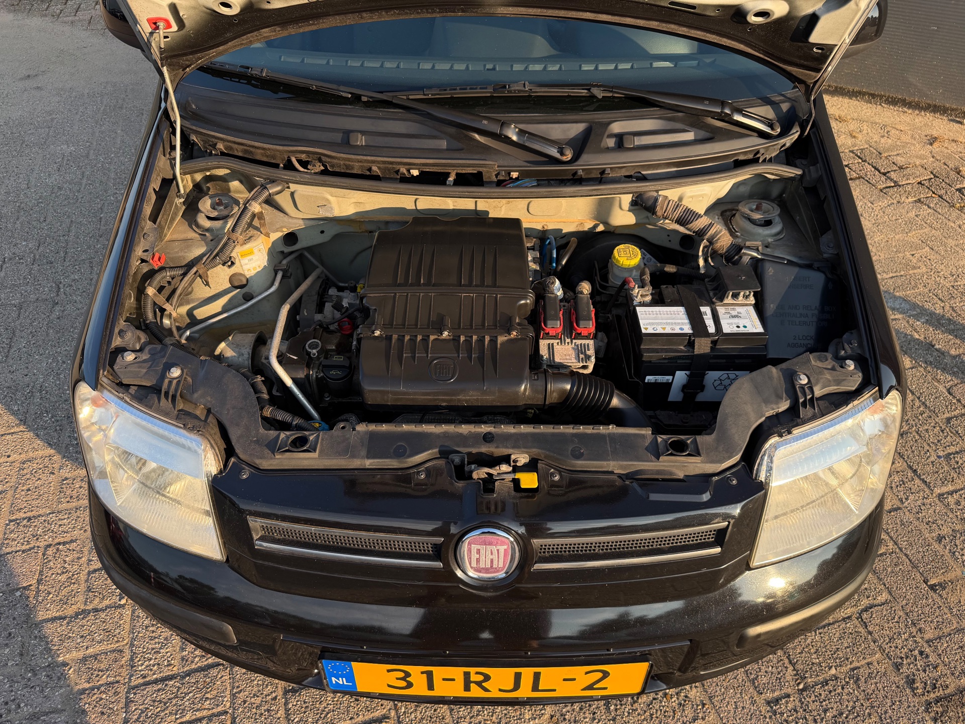 Foto van Fiat Fiat Panda