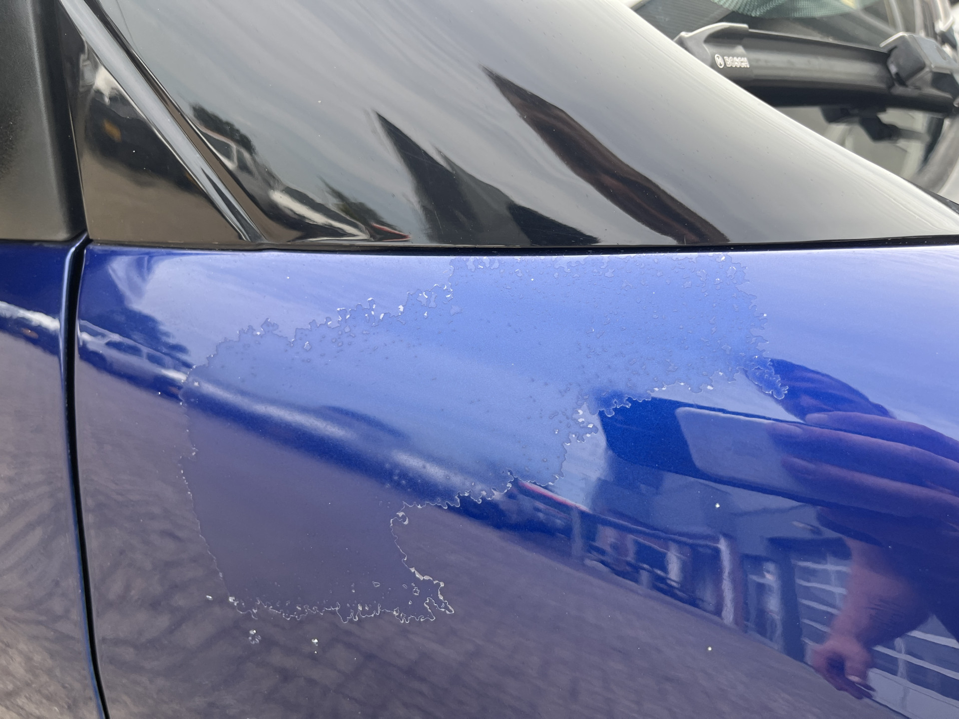 Foto van Fiat Fiat Doblo