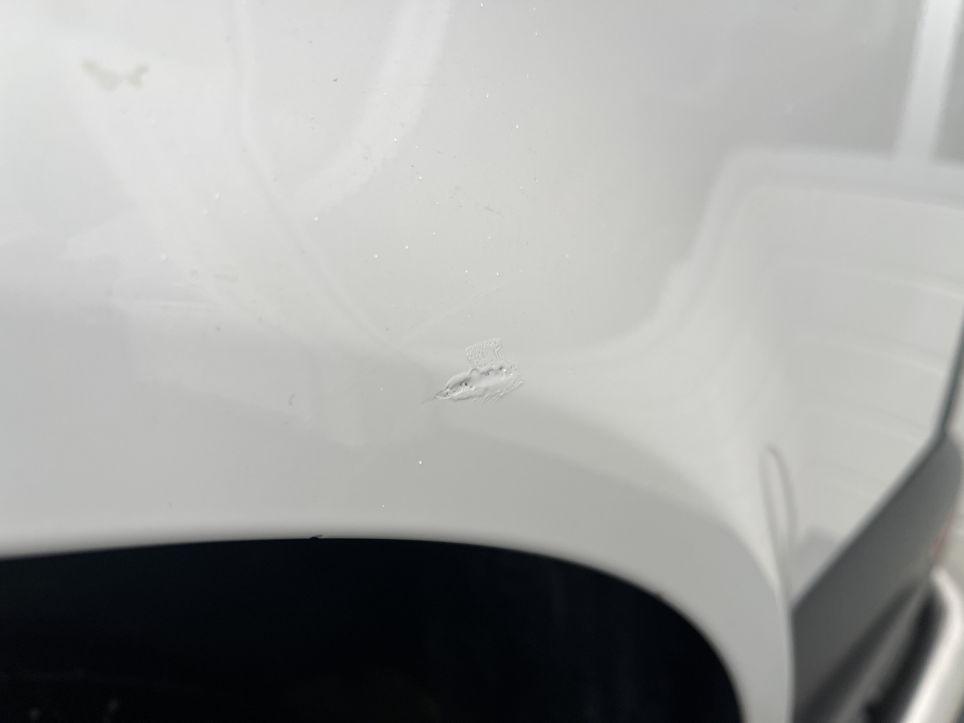 Foto van Volkswagen Kombi