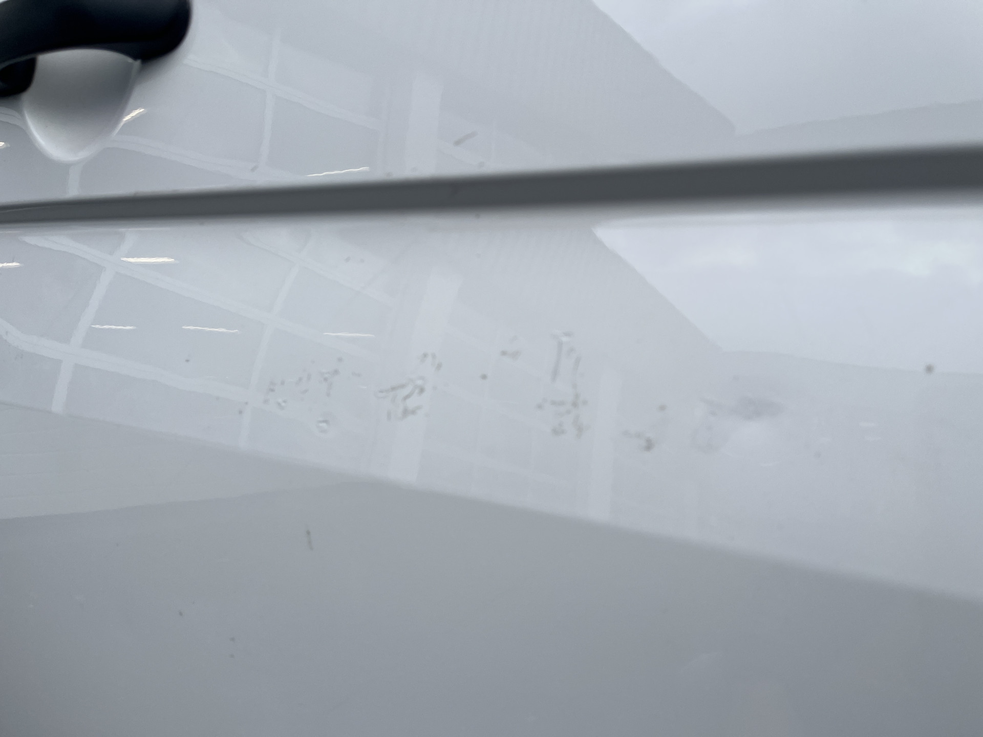 Foto van Volkswagen Kombi