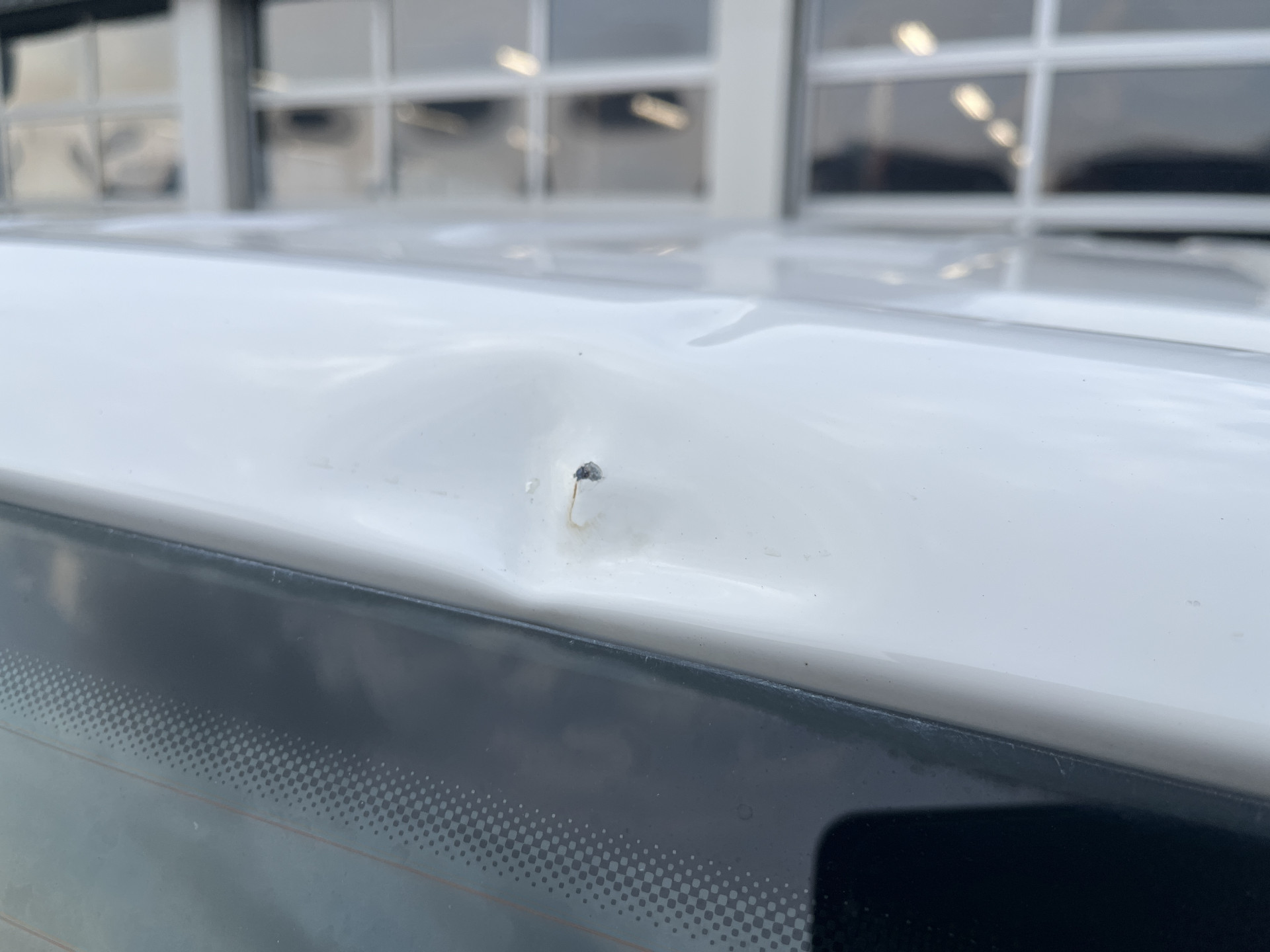 Foto van Volkswagen Transporter Kombi