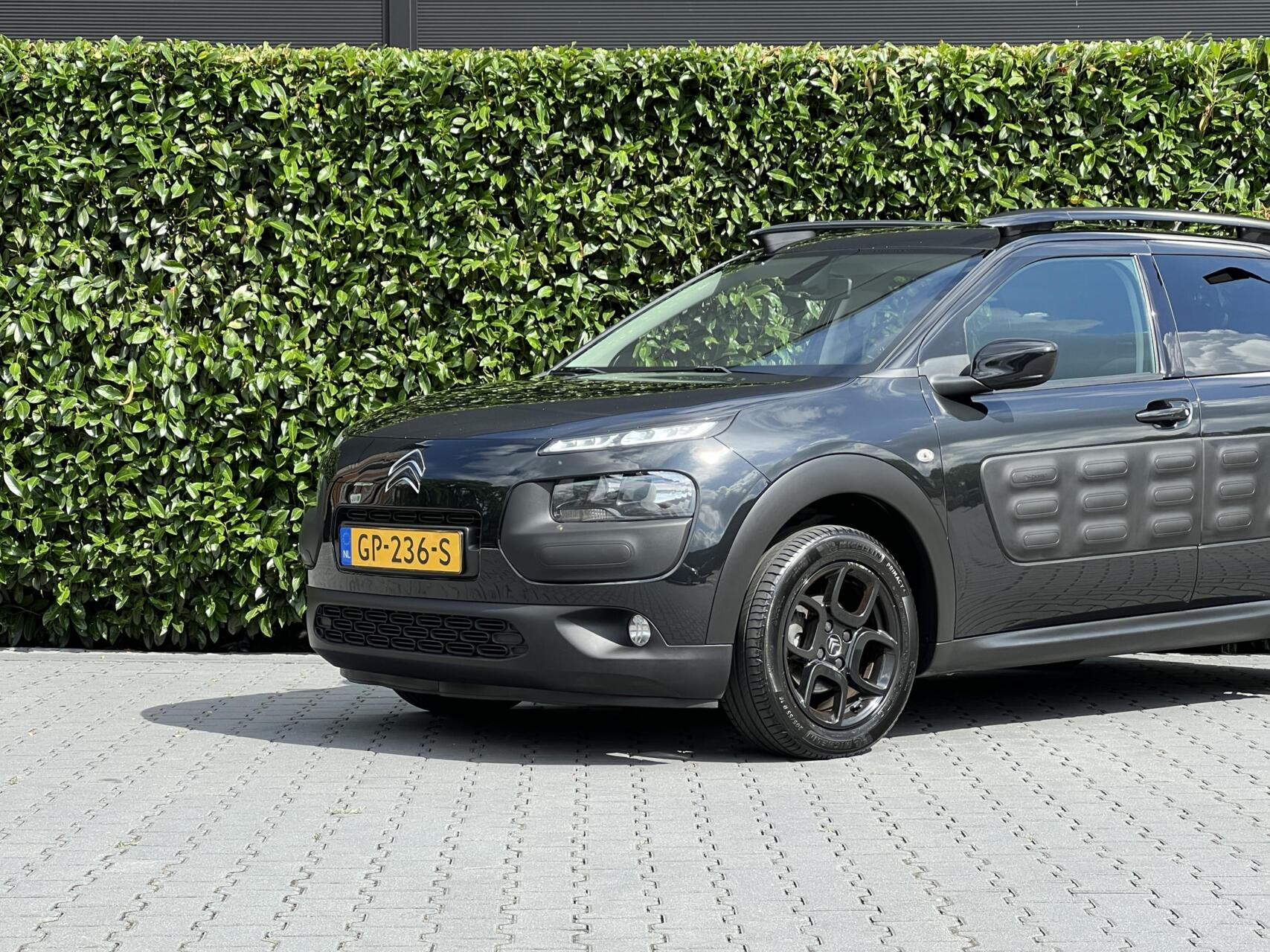 Foto van Citroen C4 Cactus