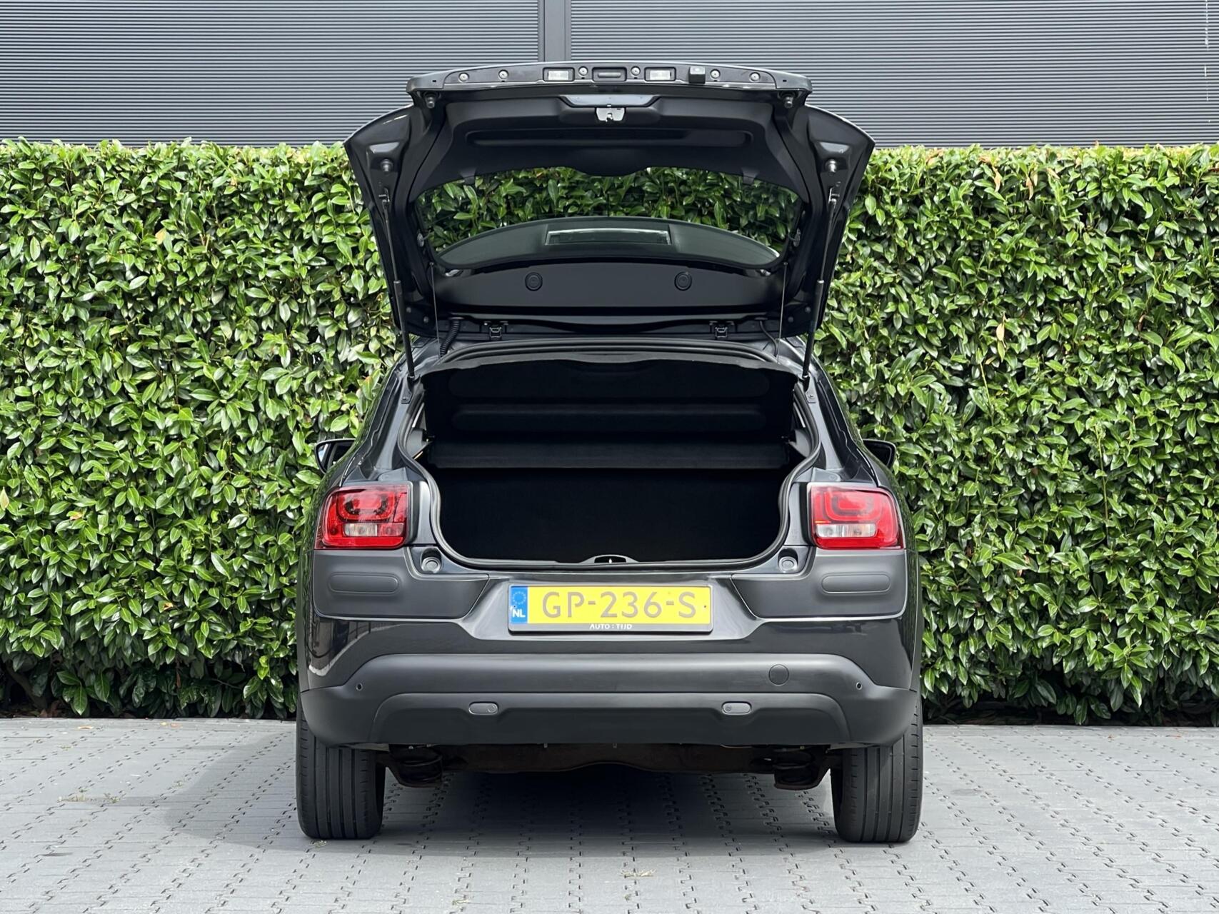 Foto van Citroen C4 Cactus