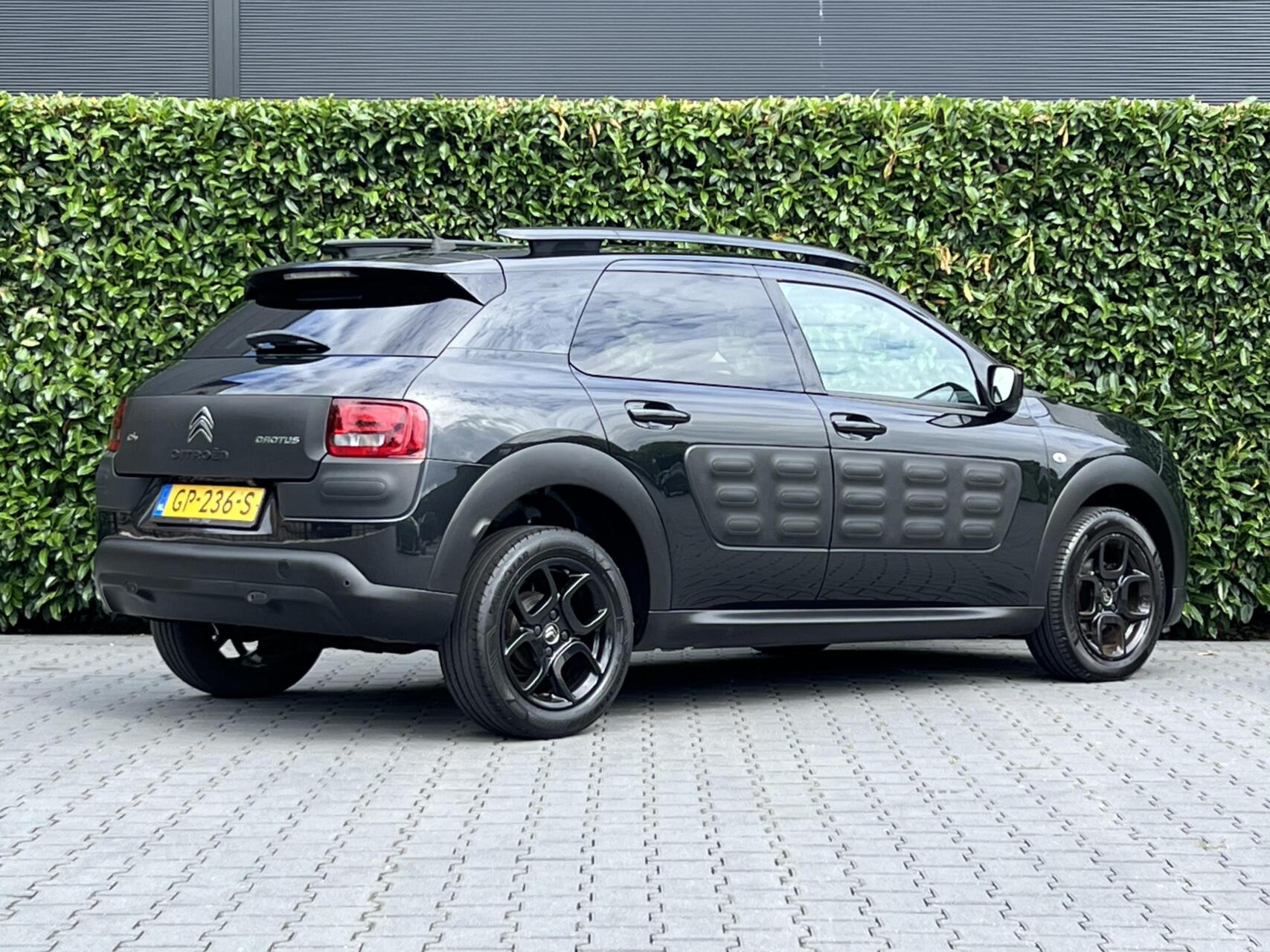 Foto van Citroen C4 Cactus