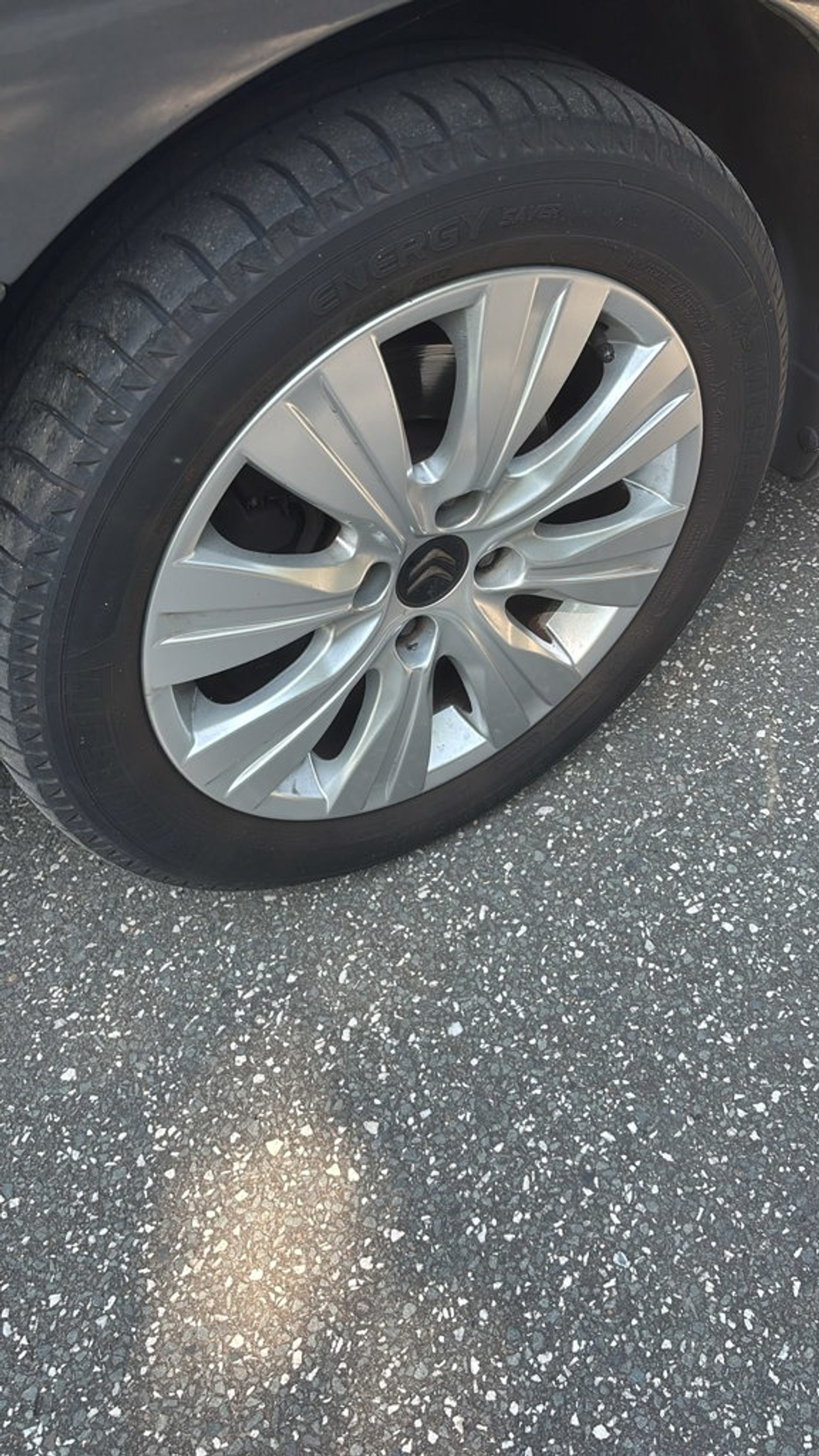 Foto van Citroen C3 Picasso