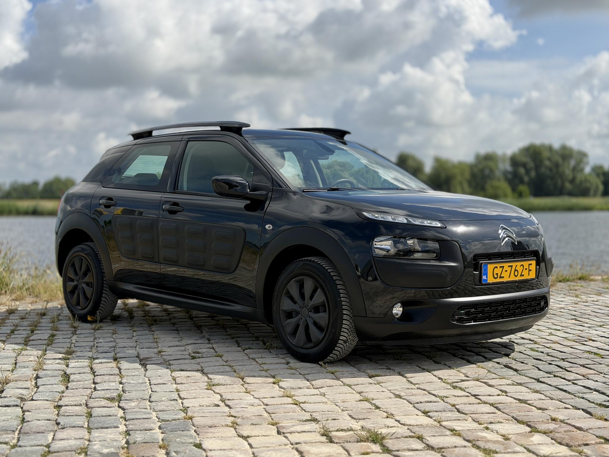 Foto van Citroen C4 Cactus