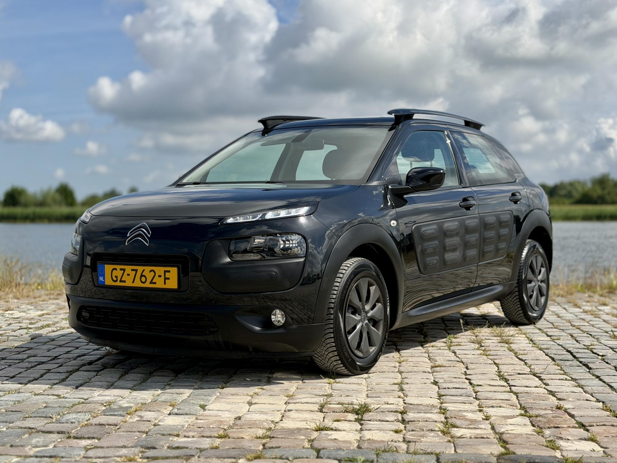 Citroen C4 Cactus 1.6 BlueHDi Business|Camera|D-Riem Vervangen 2015 - voorkant