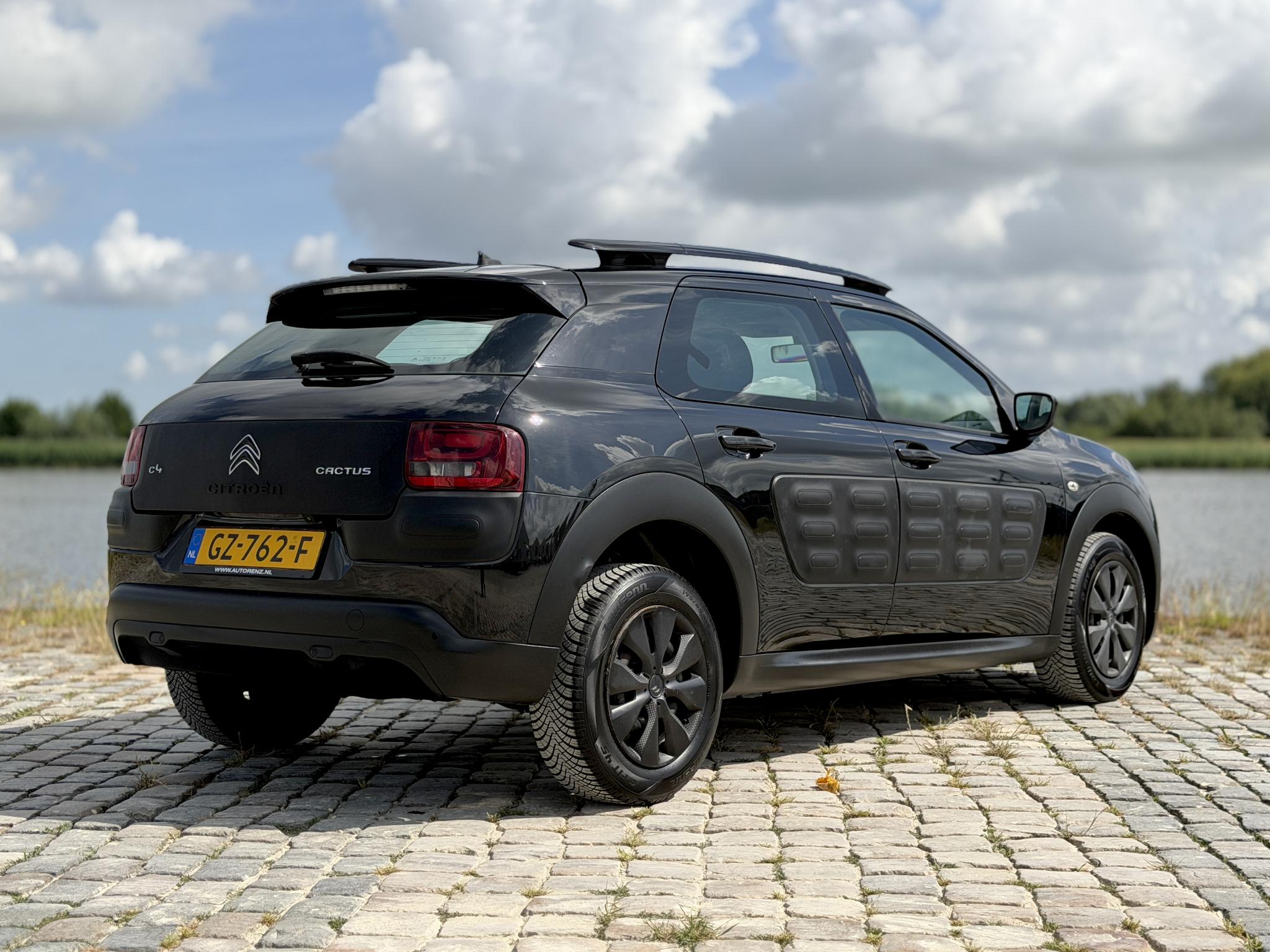 Foto van Citroen C4 Cactus