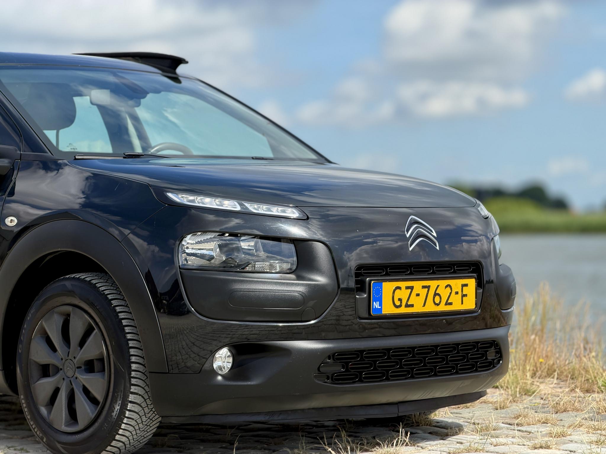 Foto van Citroen C4 Cactus