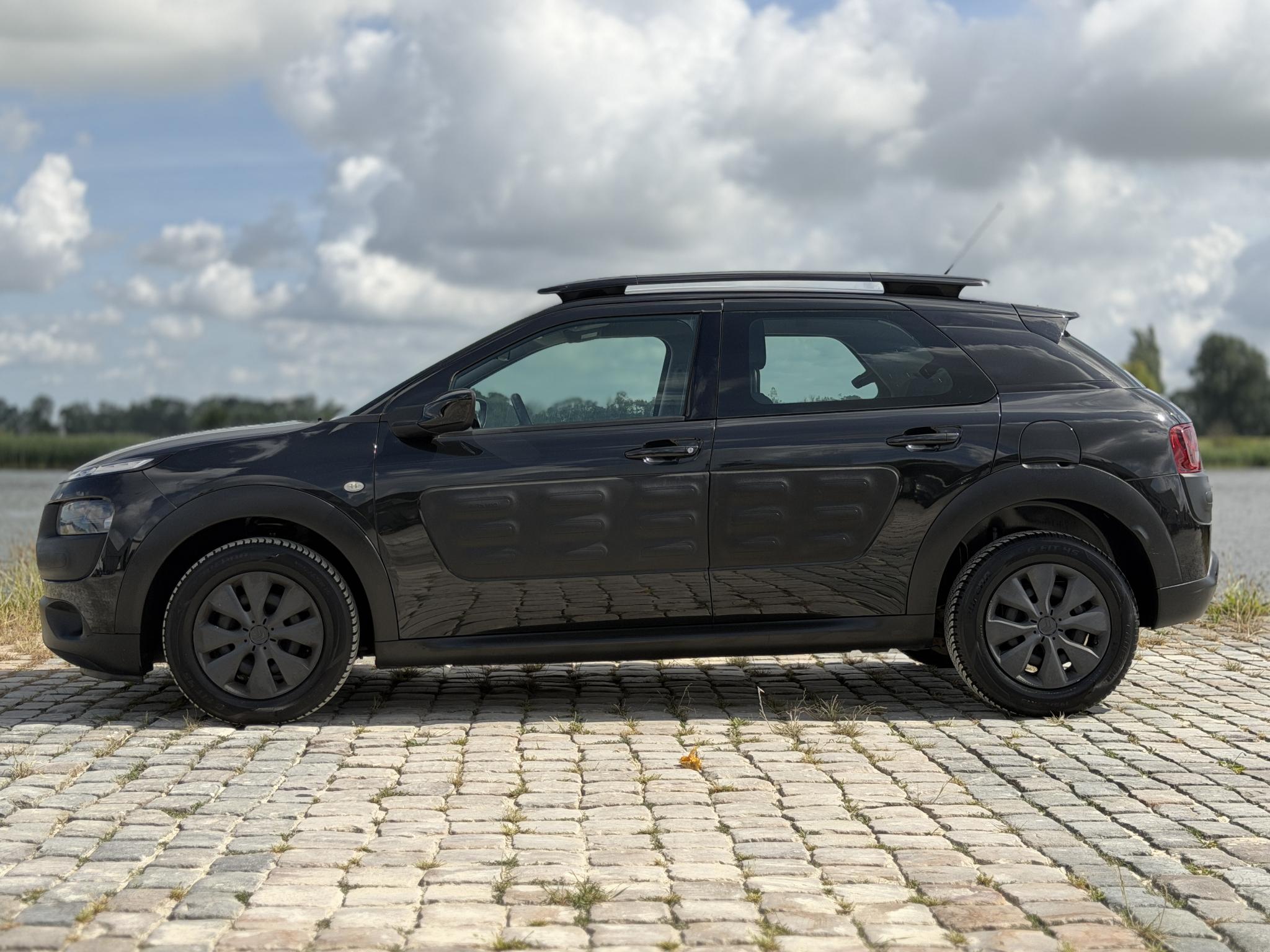 Foto van Citroen C4 Cactus