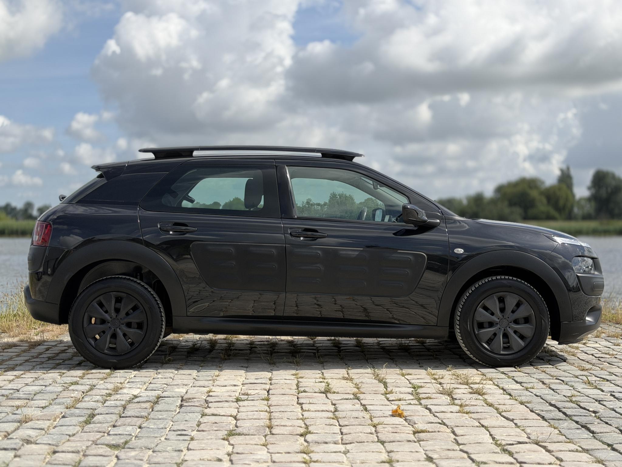 Foto van Citroen C4 Cactus