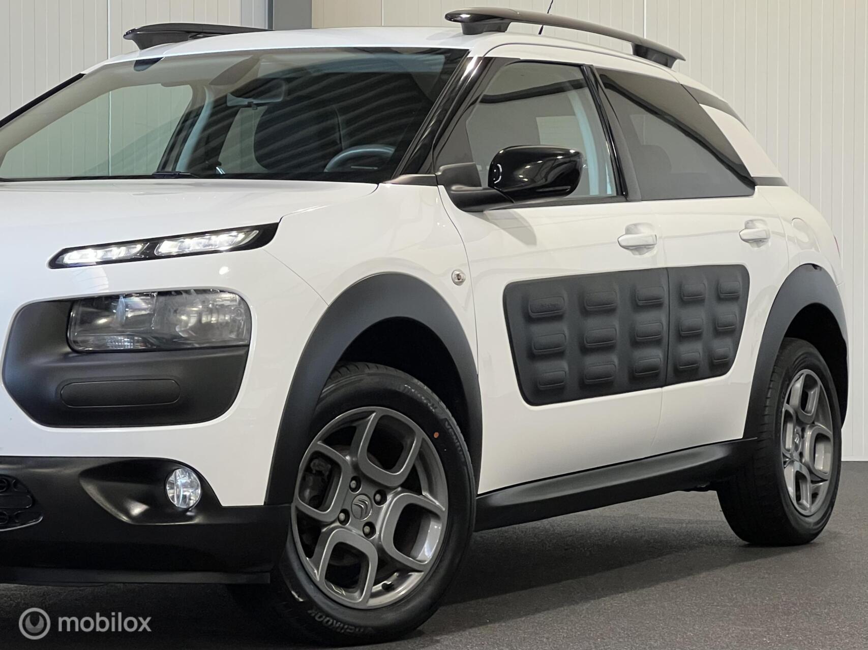 Foto van Citroen C4 Cactus