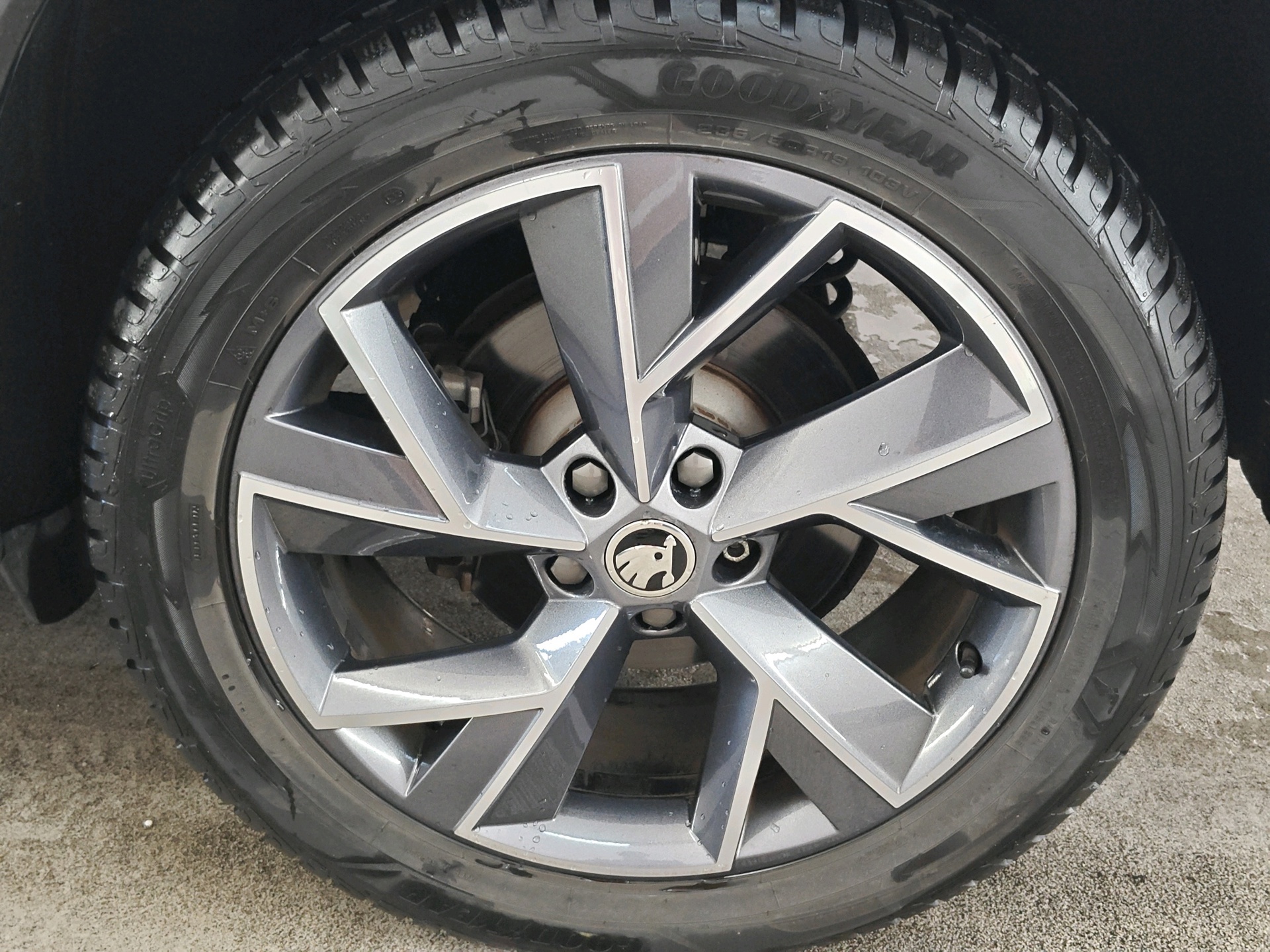 Foto van Skoda Kodiaq