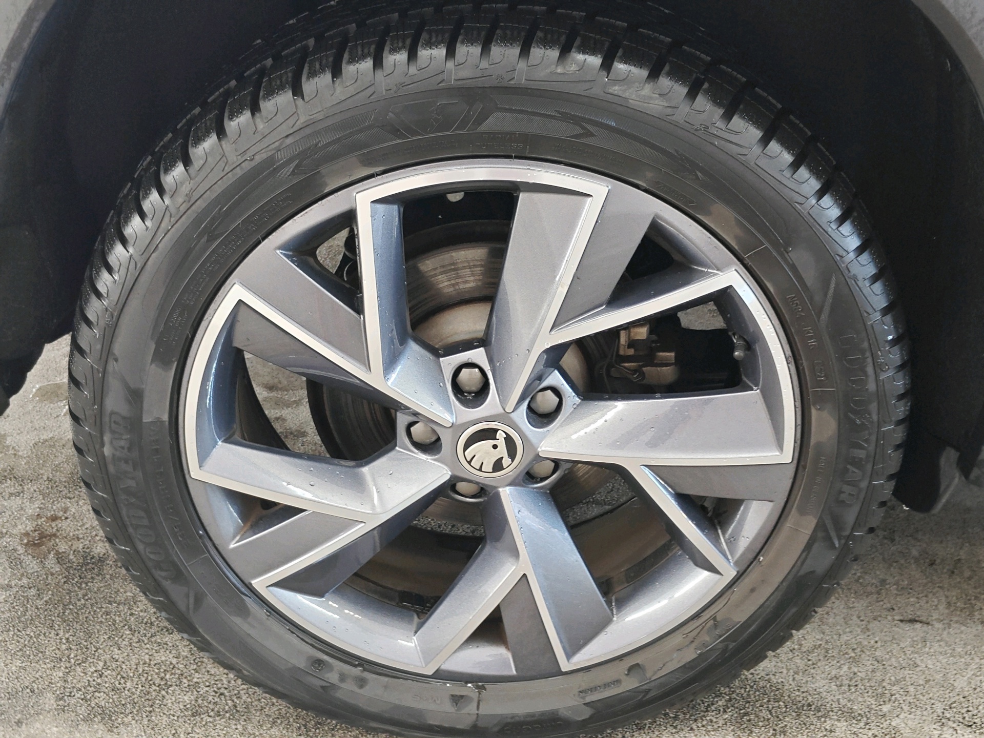 Foto van Skoda Kodiaq