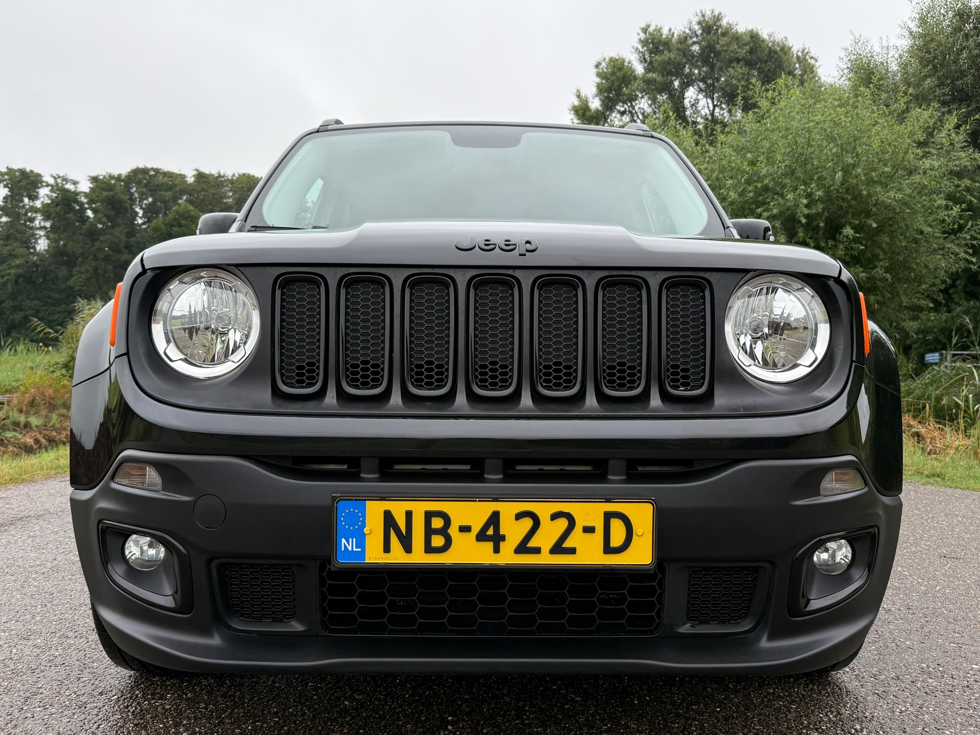 Foto van Jeep Renegade