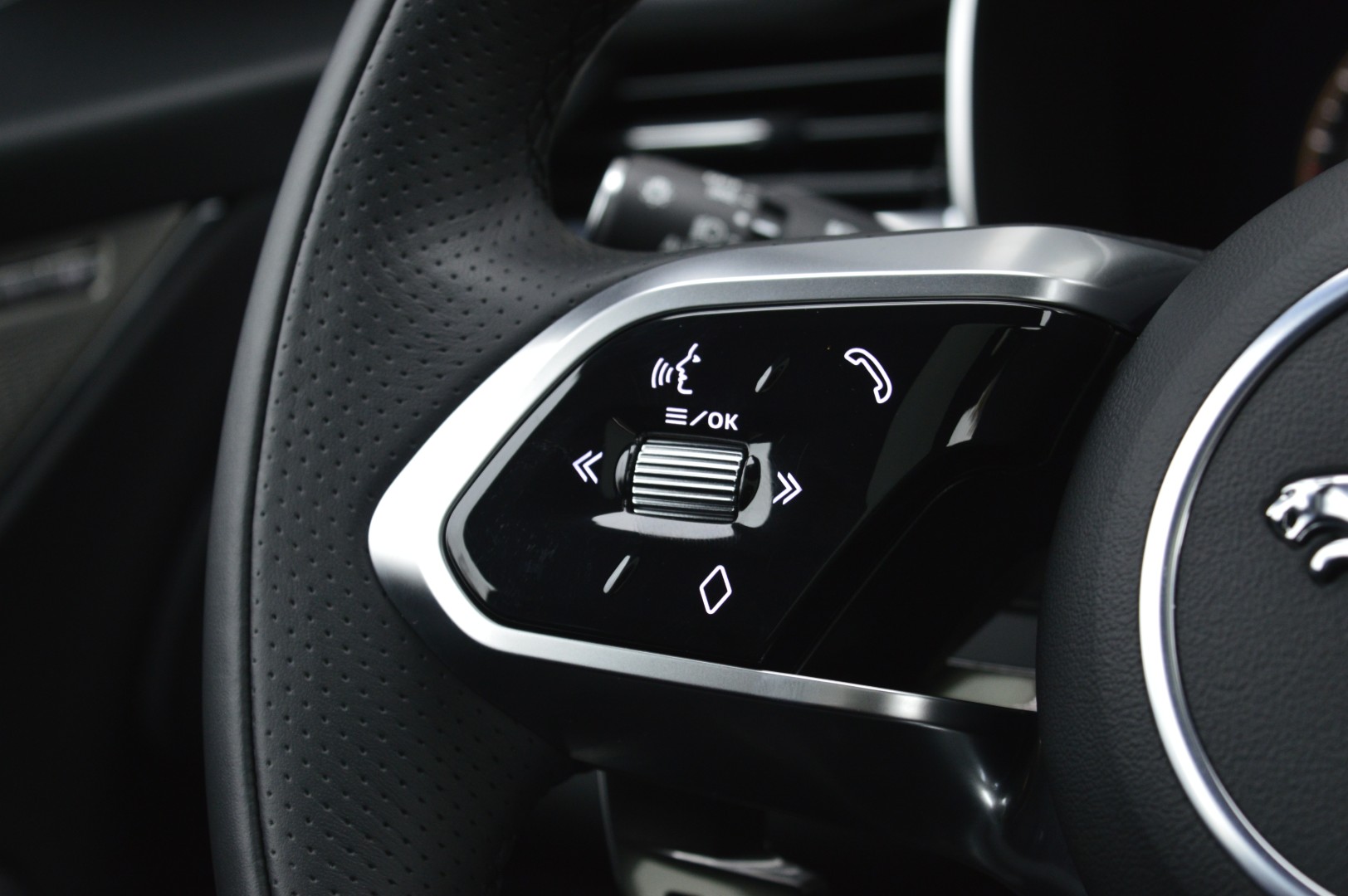 Foto van Jaguar Jaguar F-pace