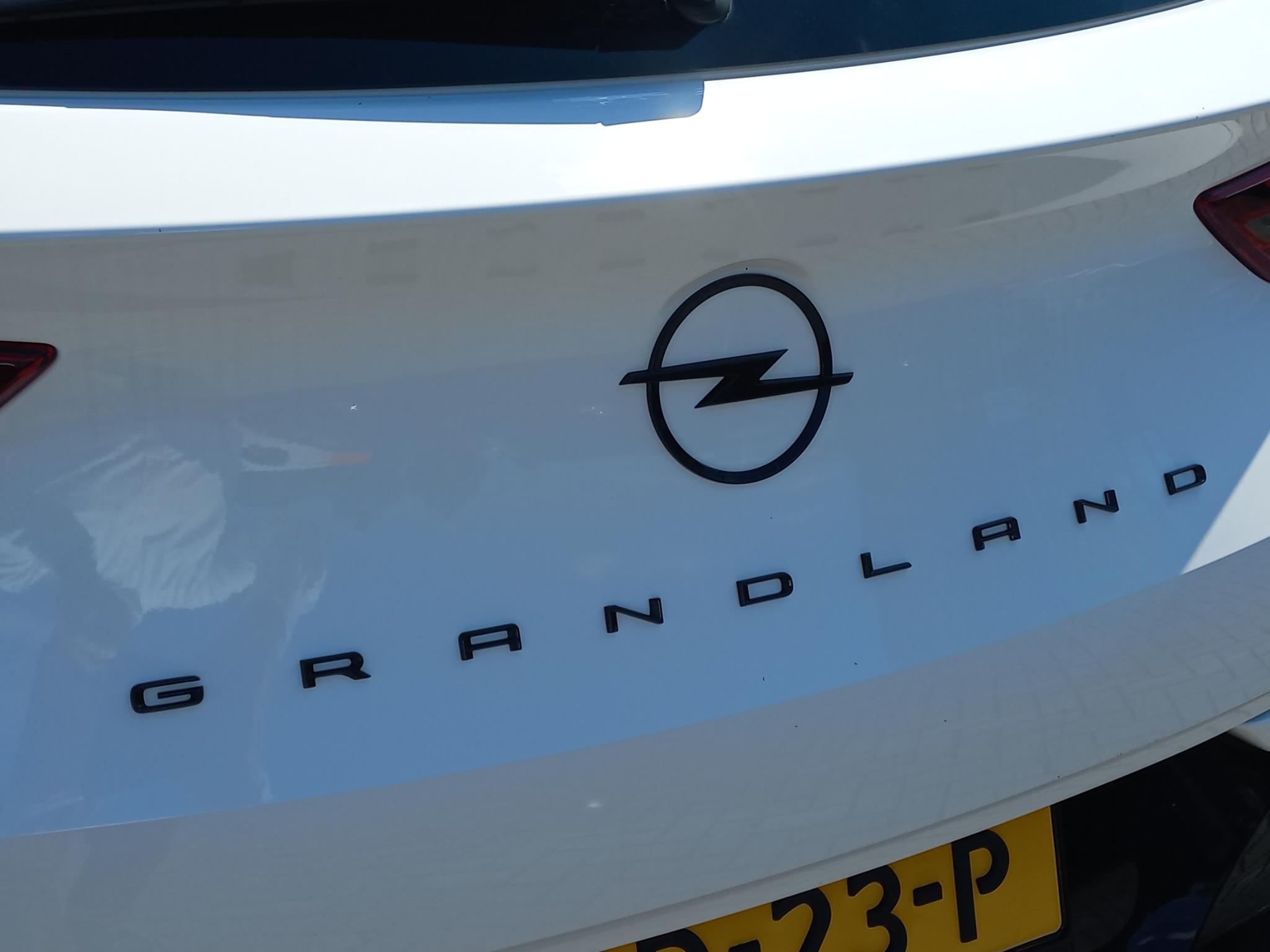 Foto van Opel Grandland
