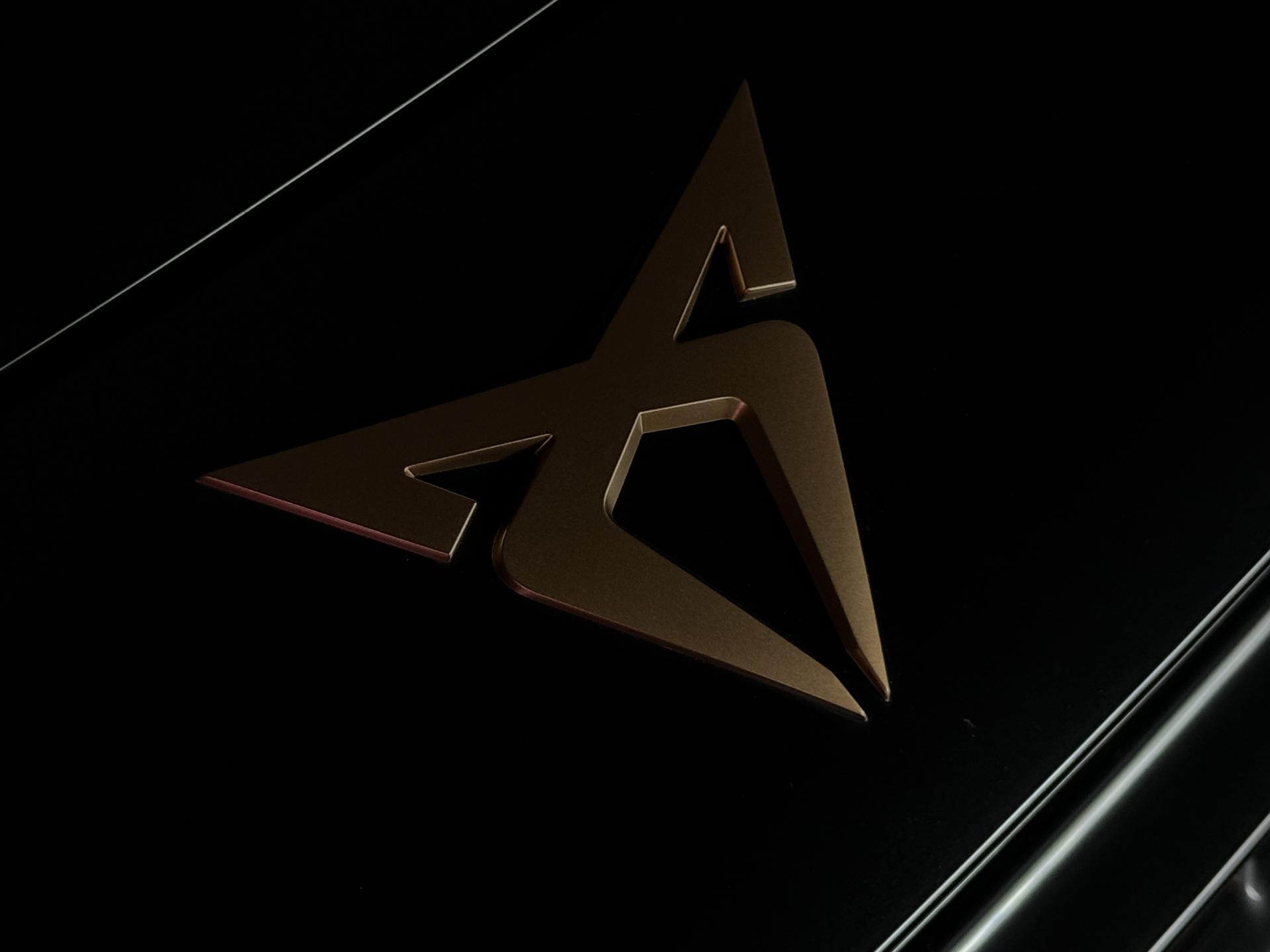 Foto van Cupra Terramar E-hybrid
