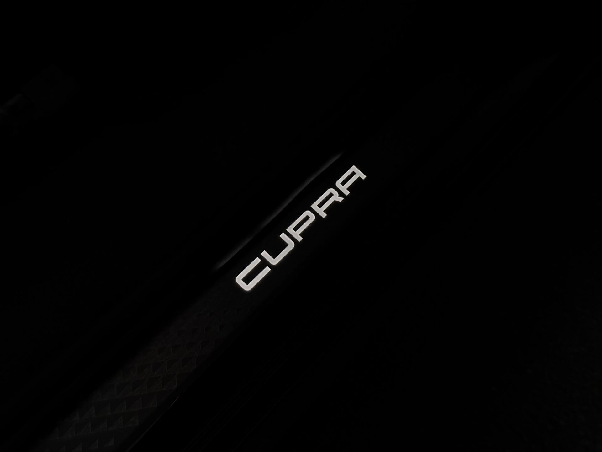 Foto van Cupra Terramar E-hybrid