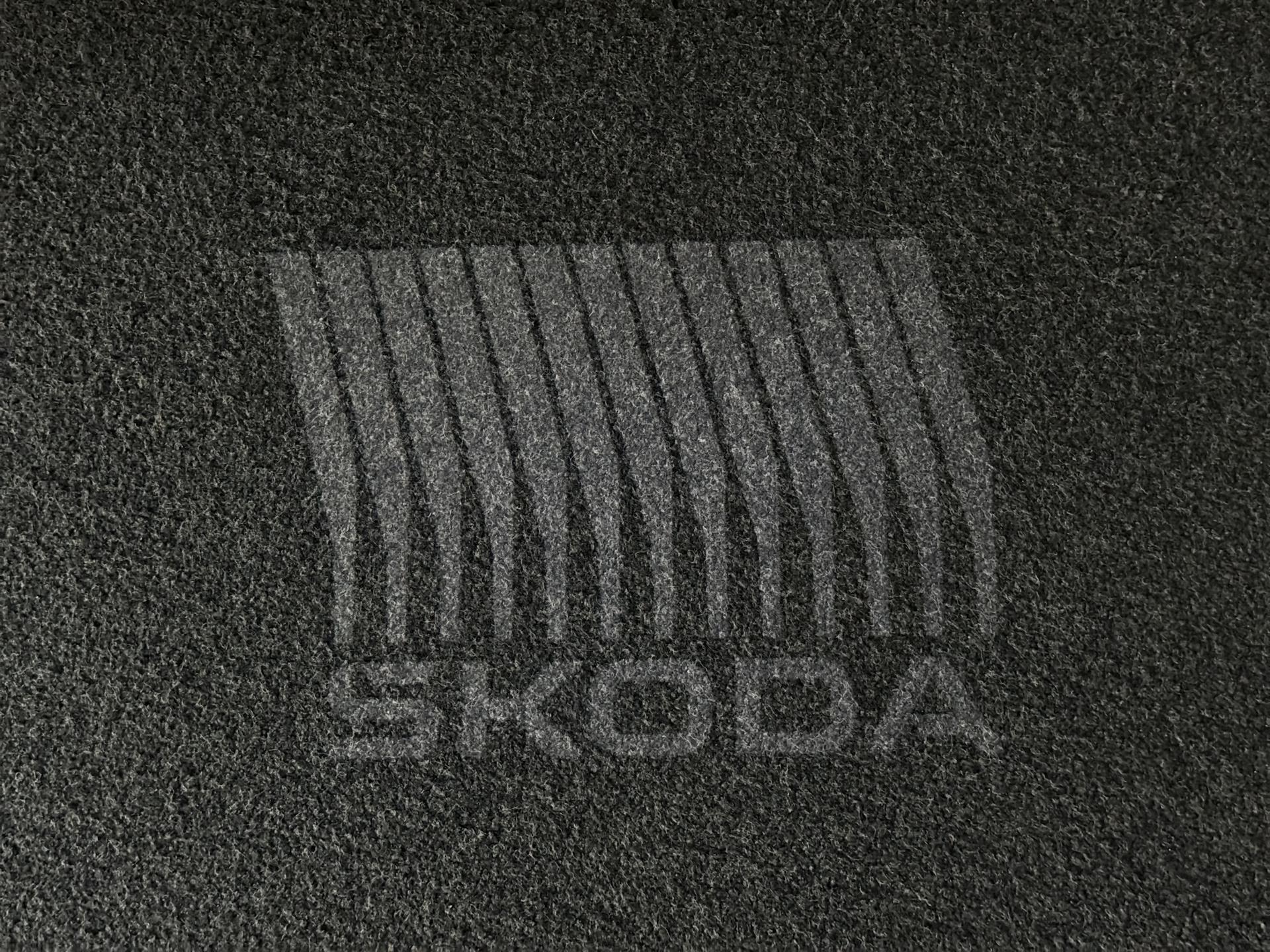 Foto van Skoda Enyaq 85