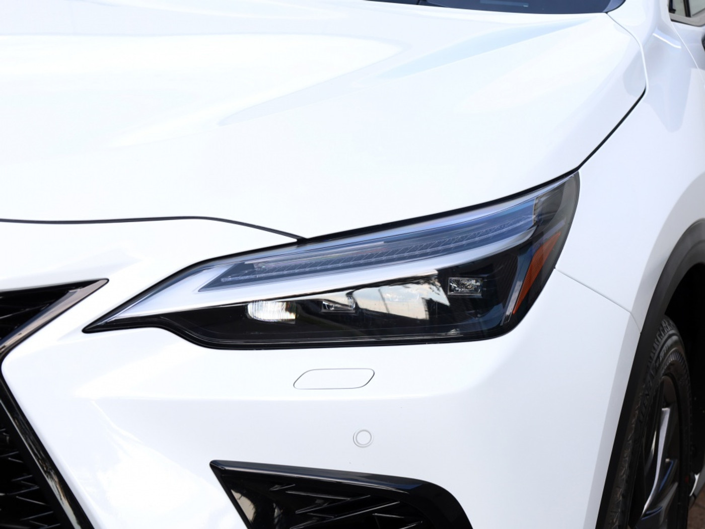 Foto van Lexus NX