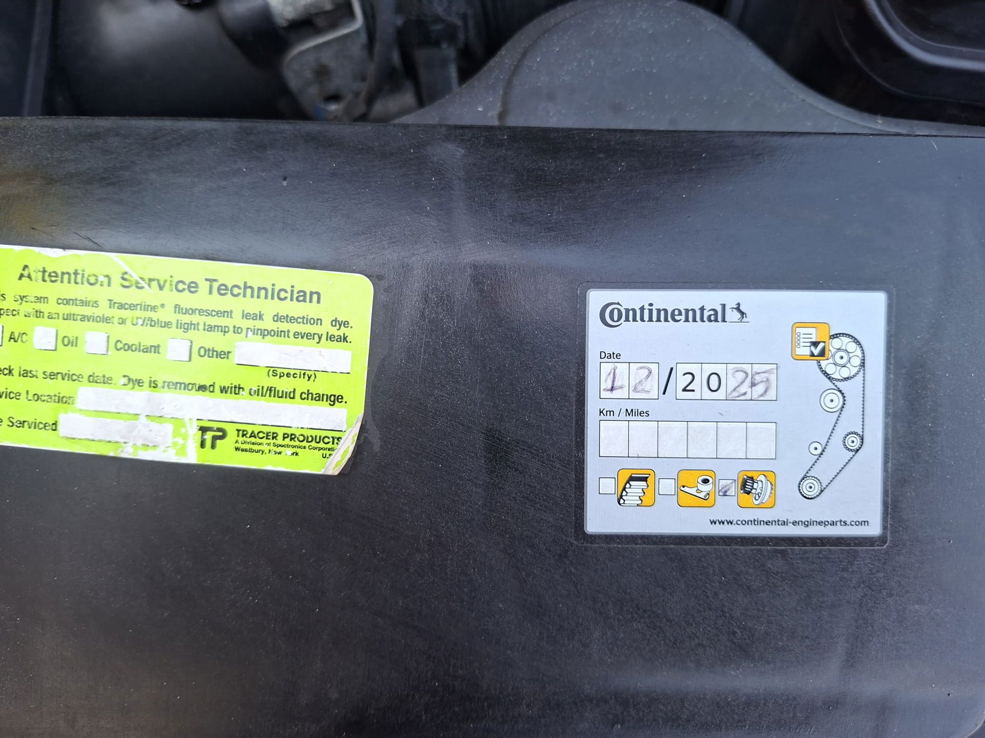 Foto van Seat Altea XL
