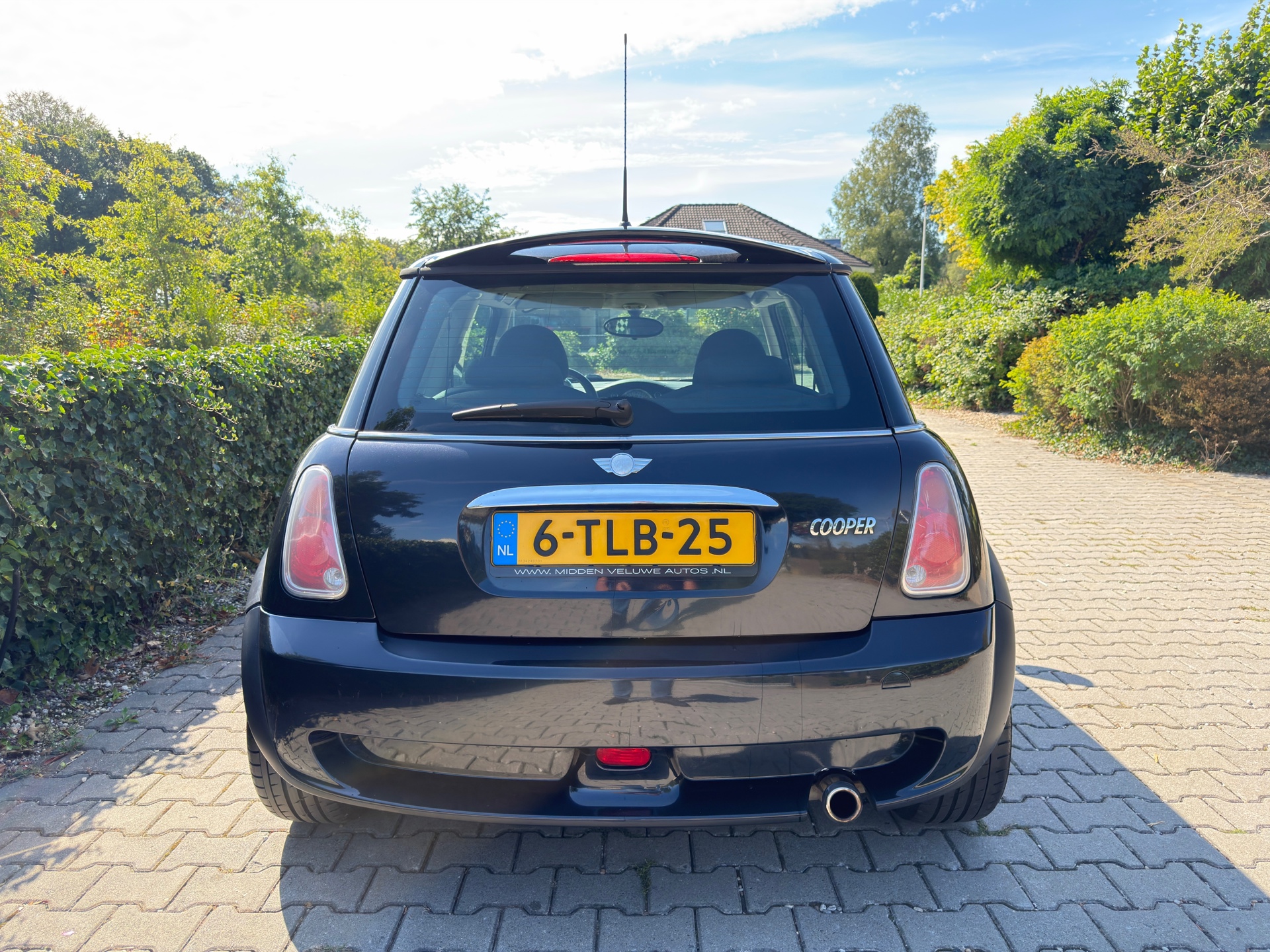 Foto van Mini Mini Cooper